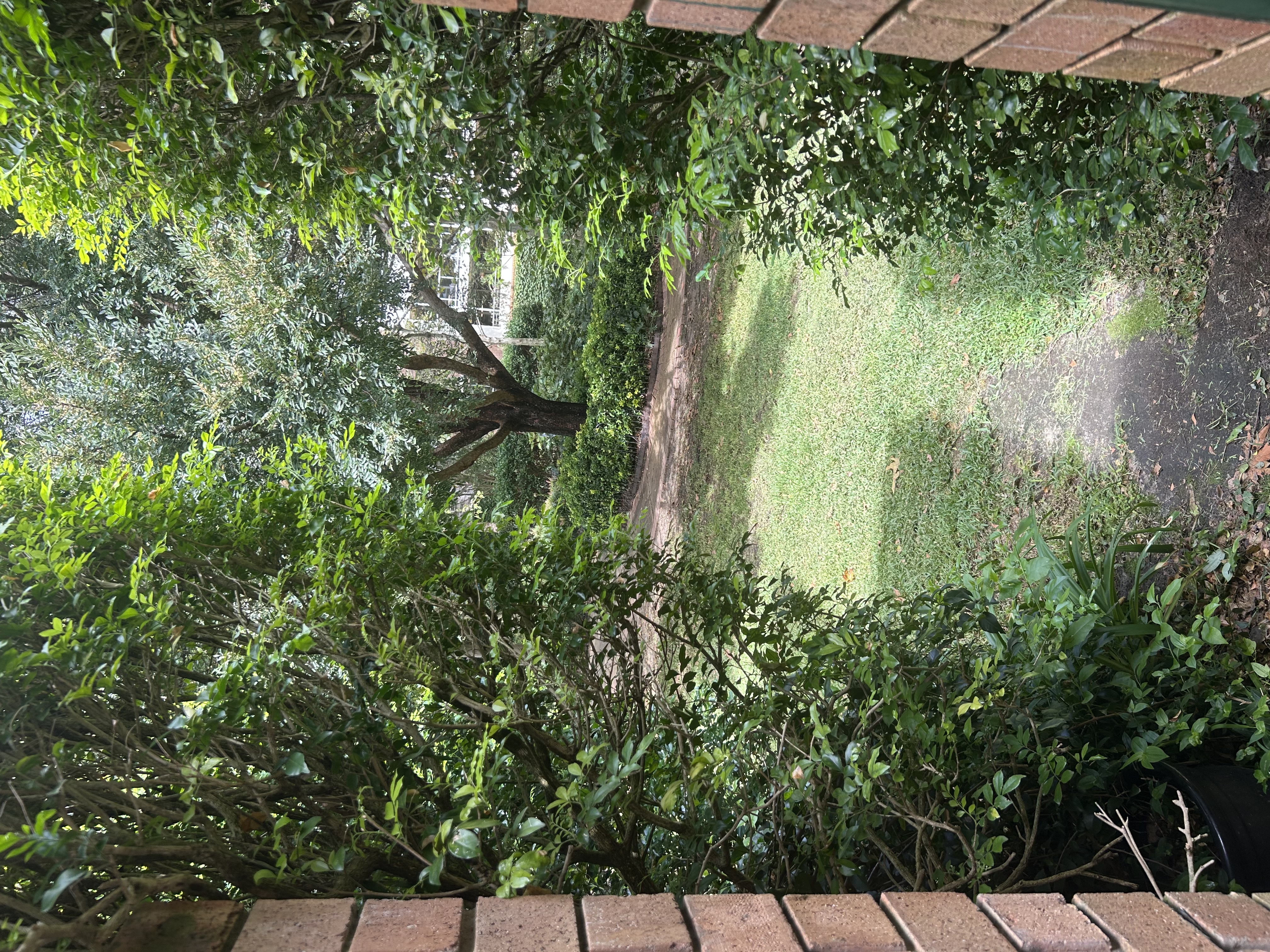 image-13