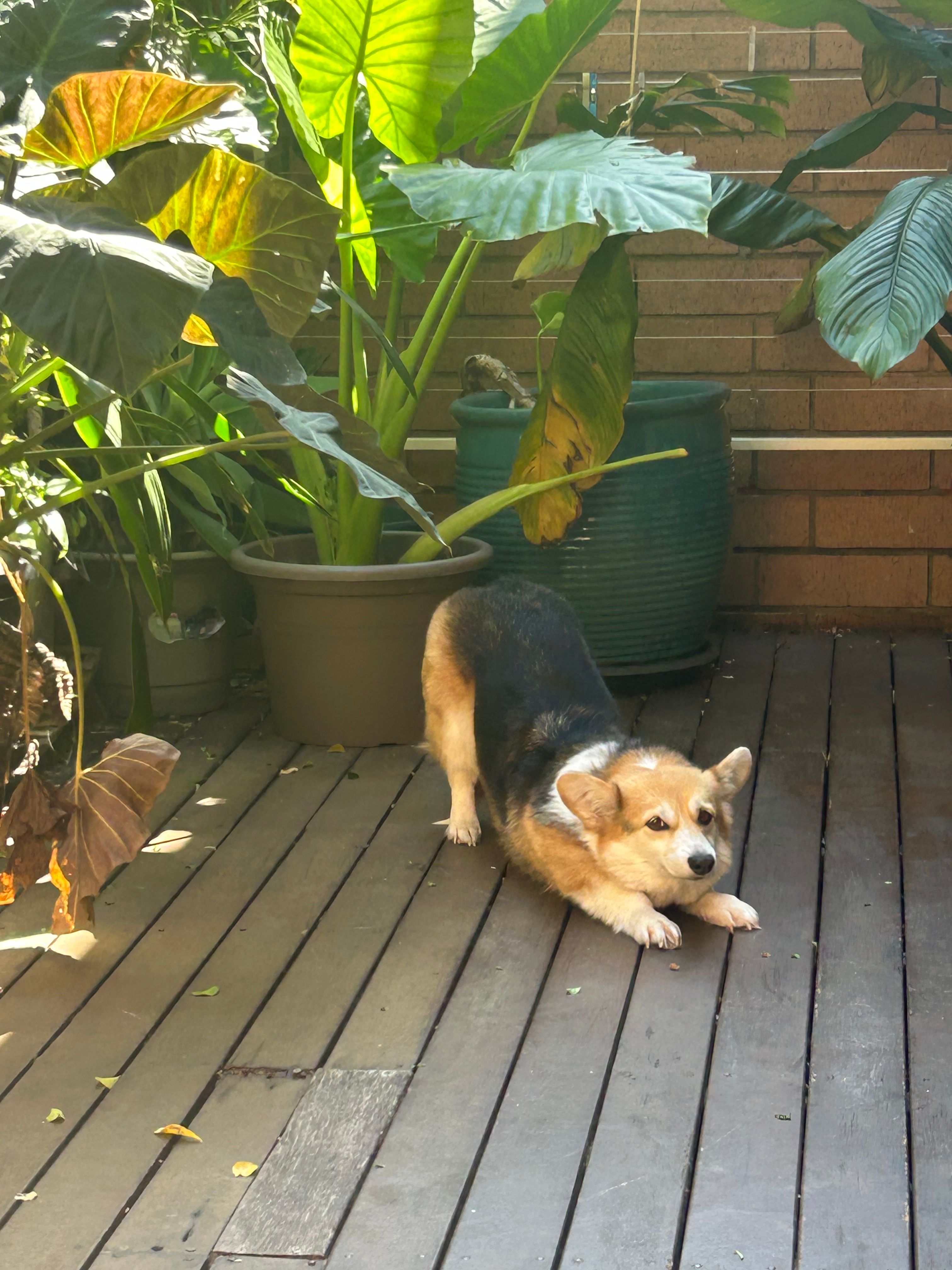 image-10