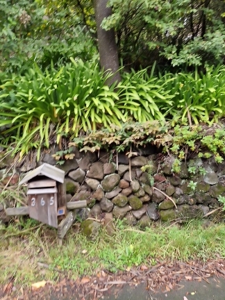 image-20