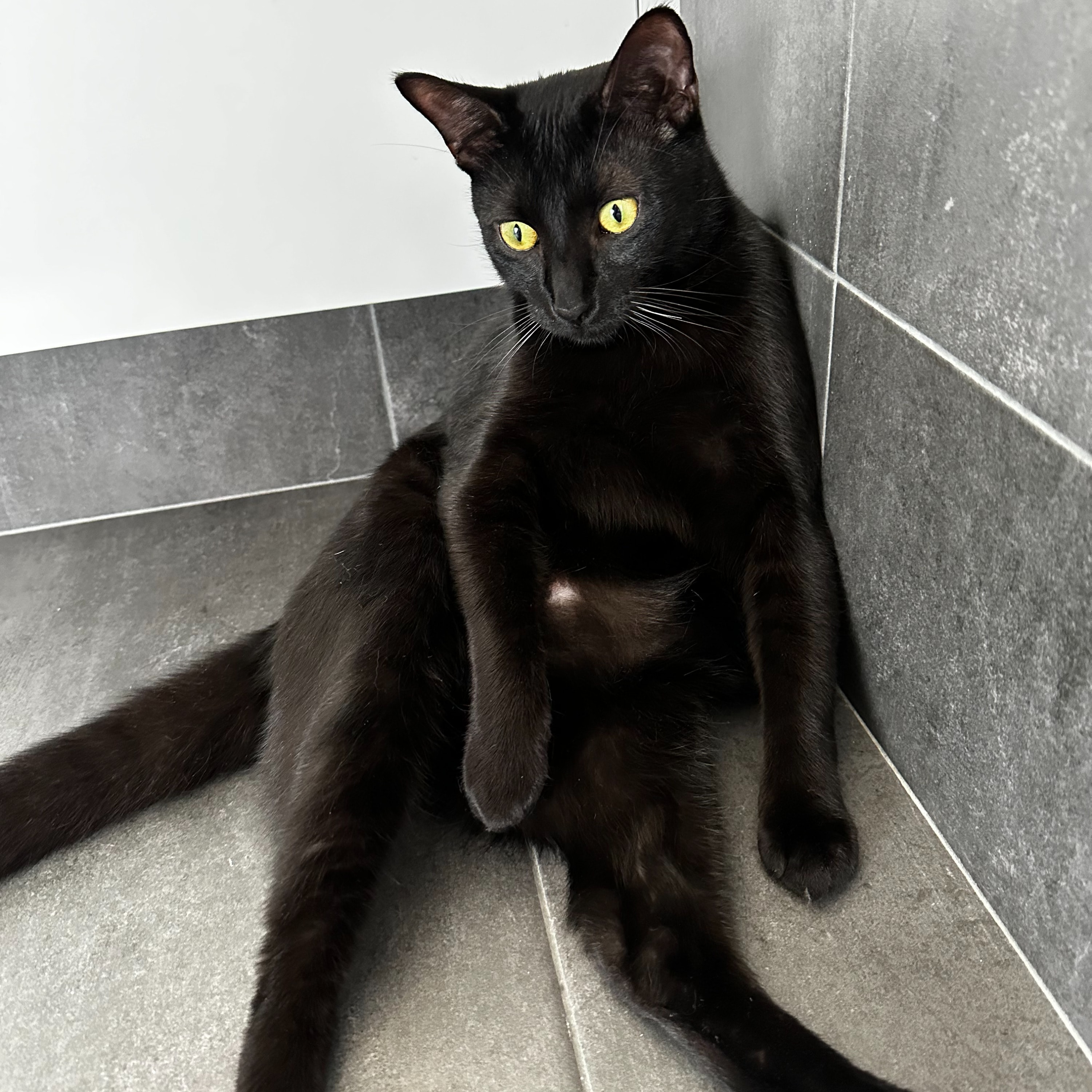 Salem