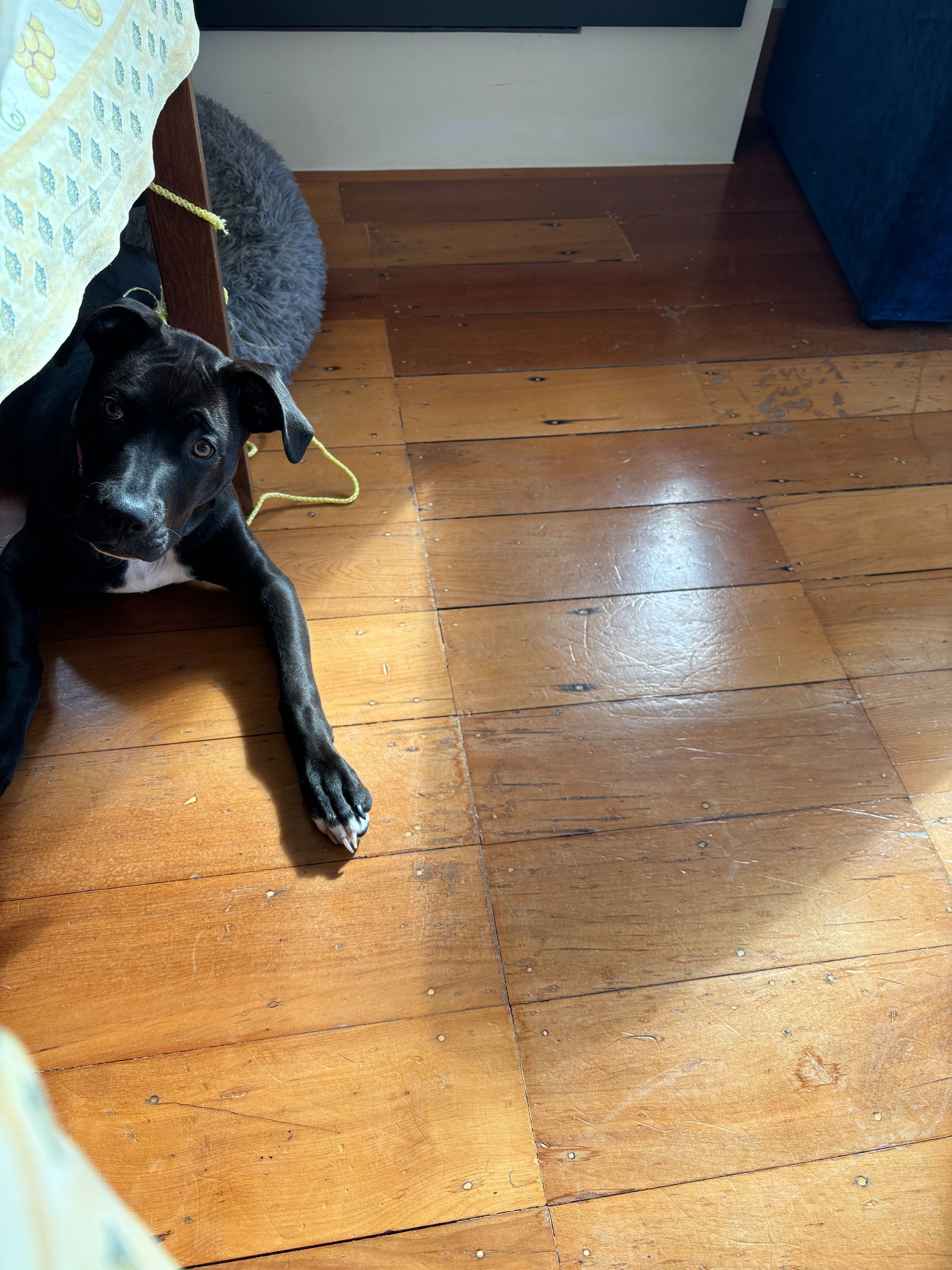image-8