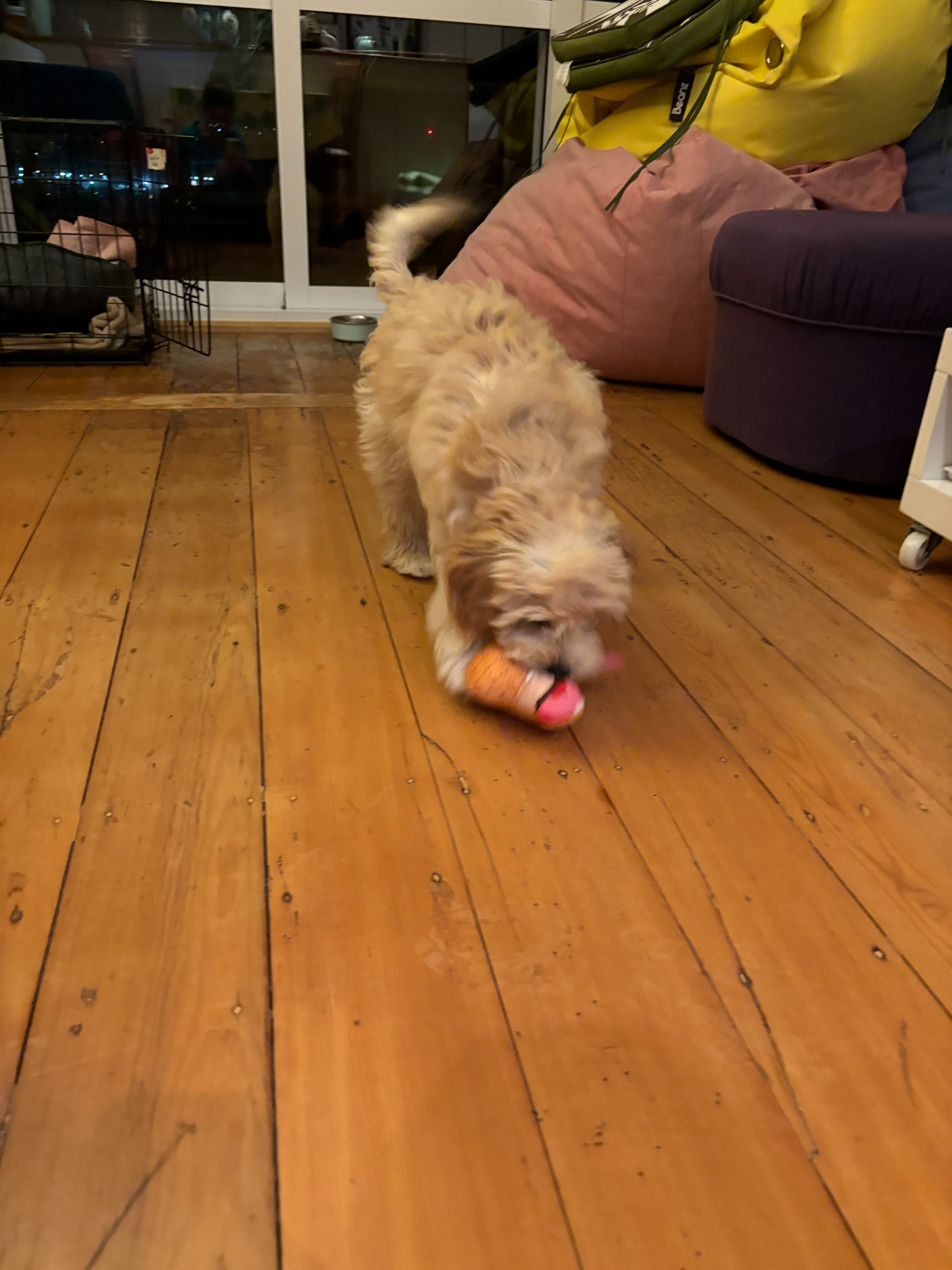 image-12