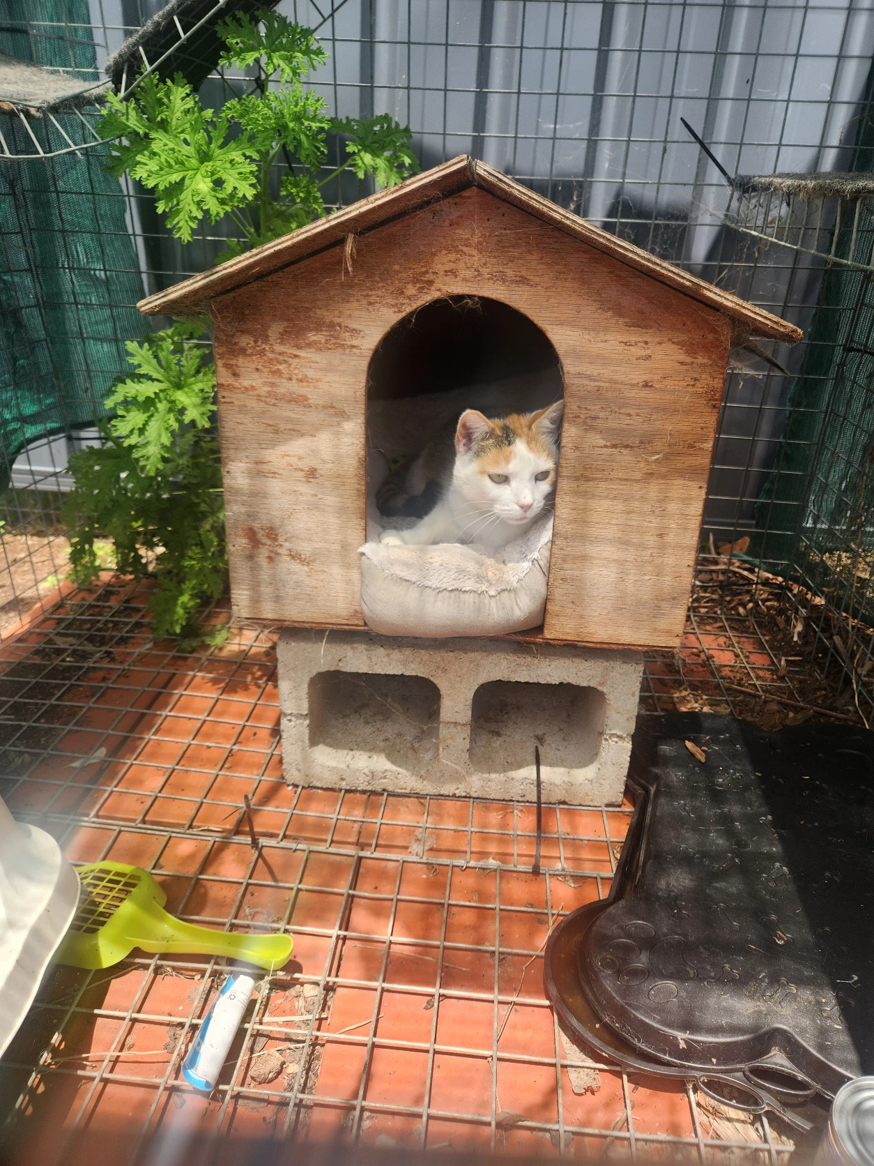 image-7