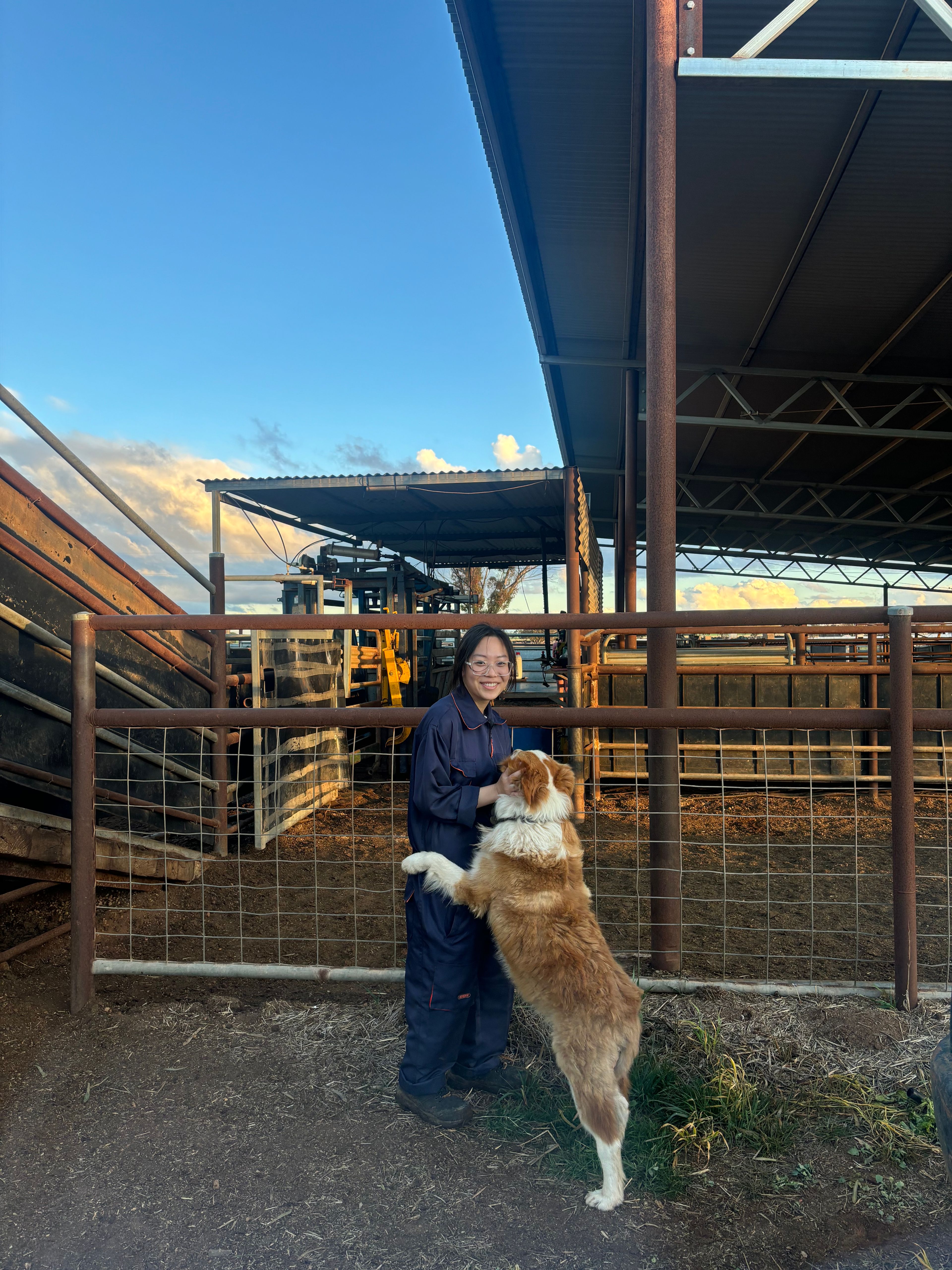 image-6