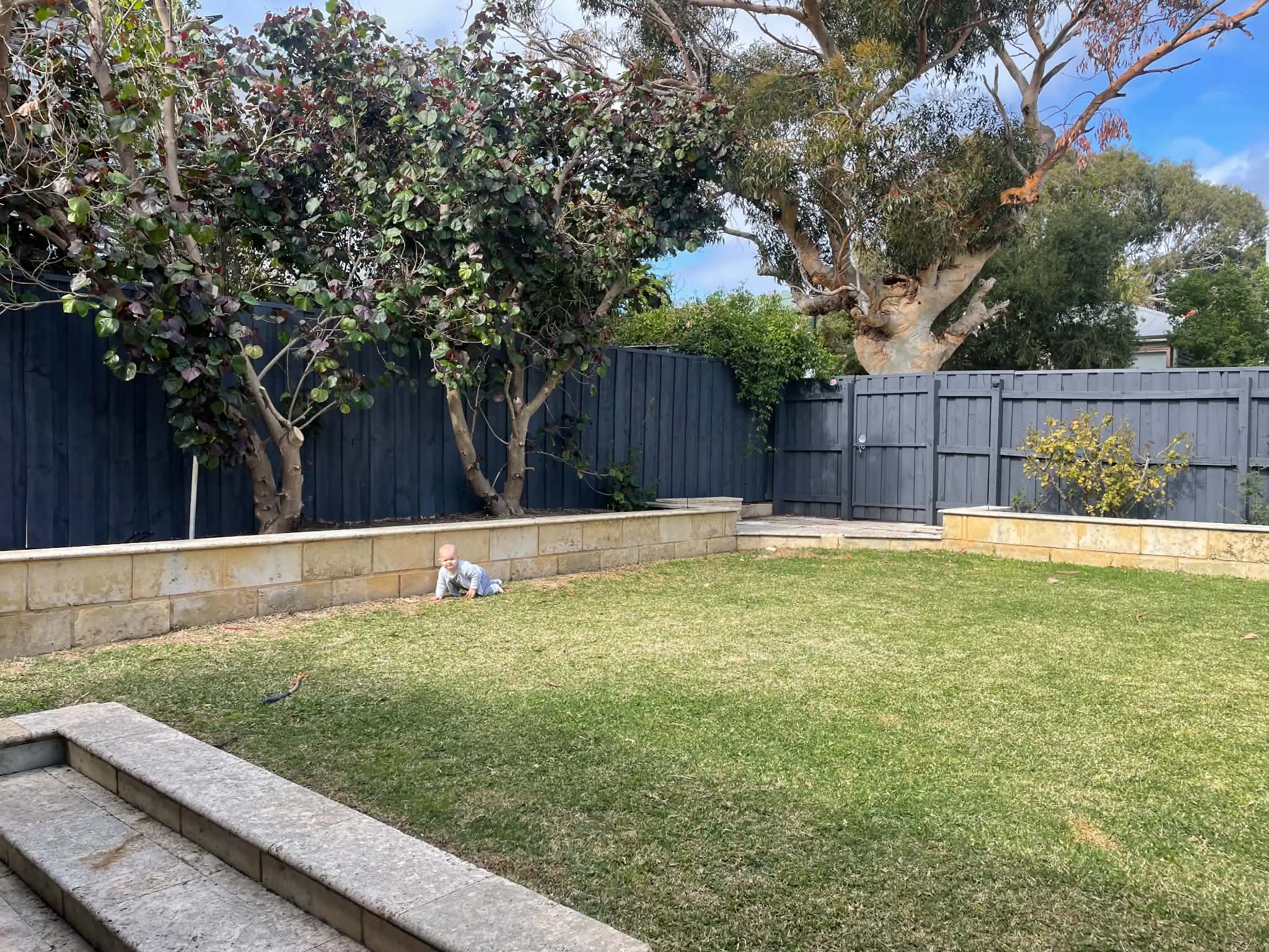 image-16