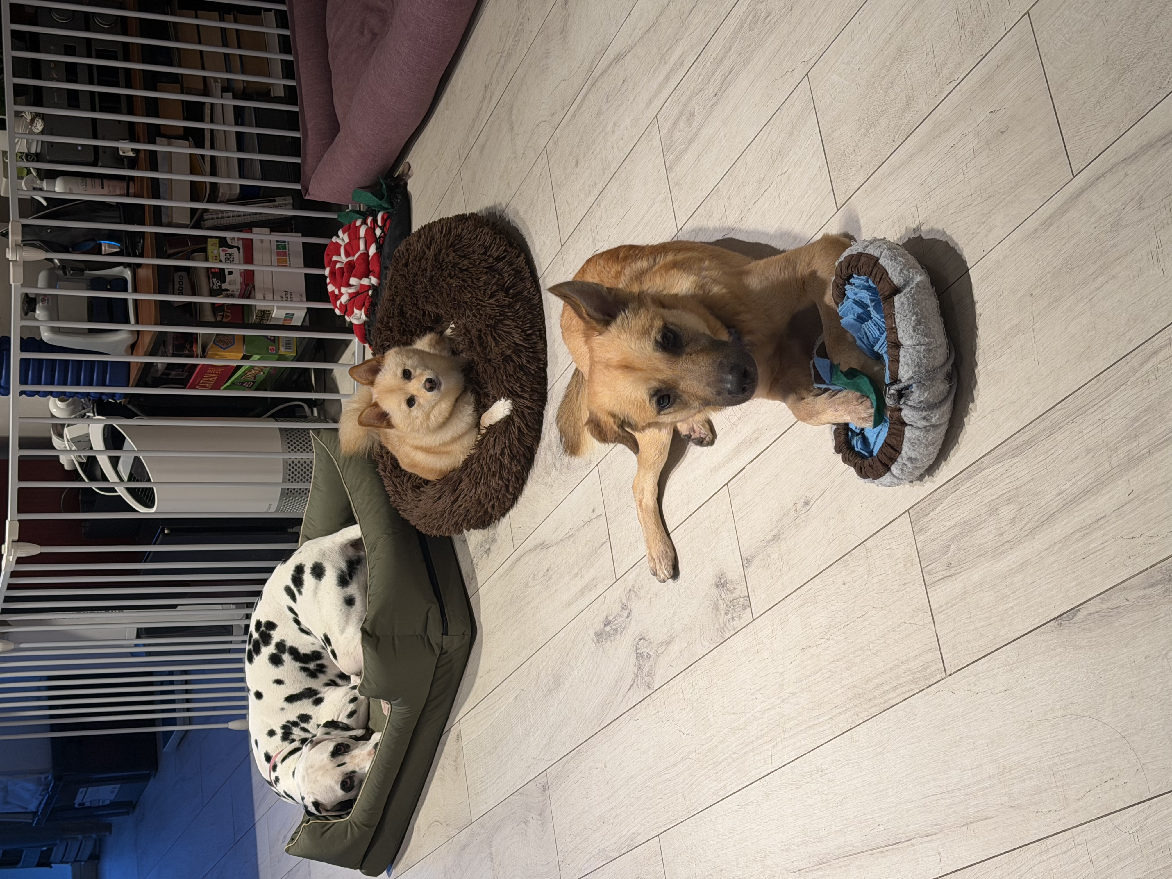 image-15