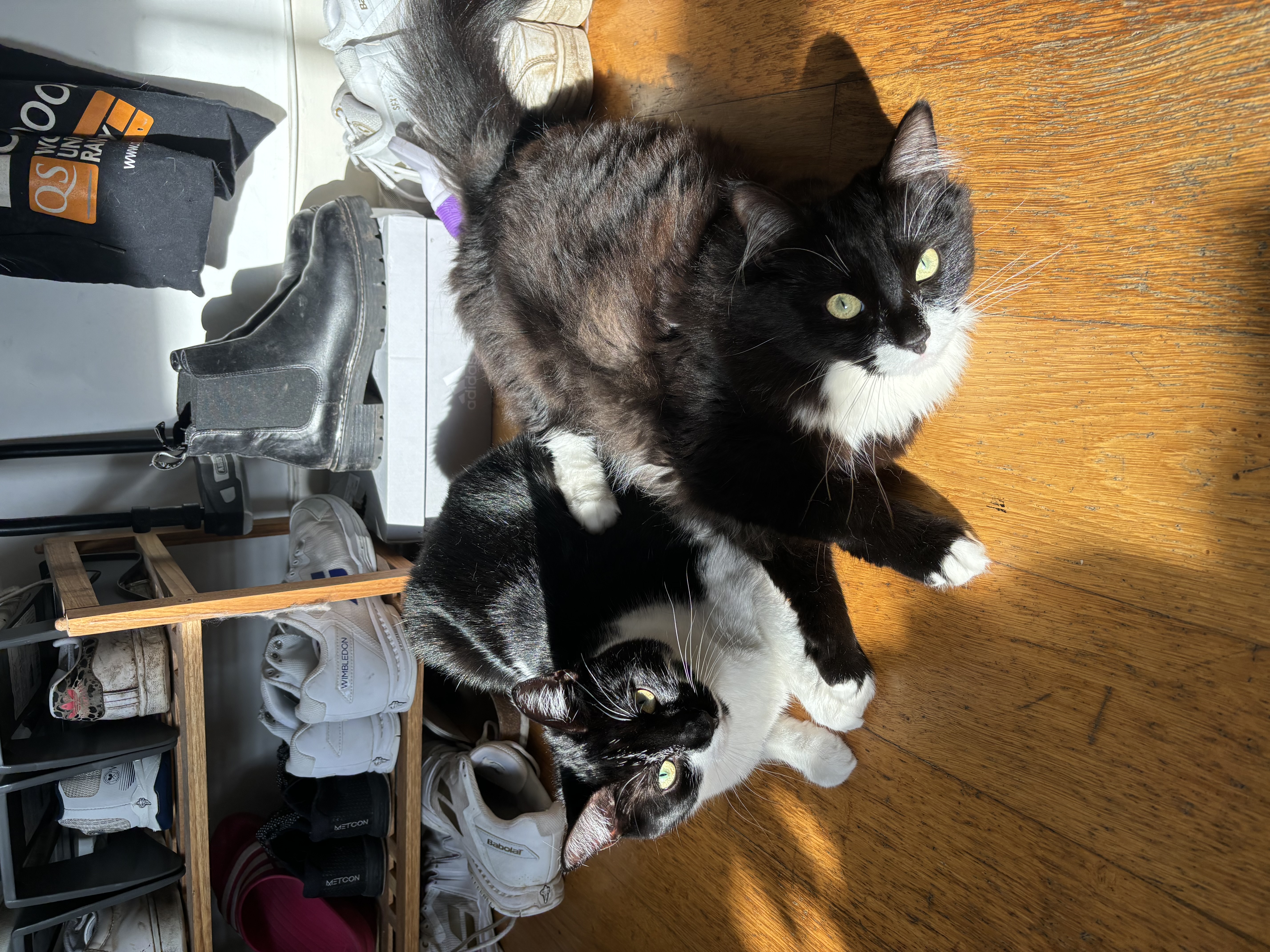 image-8