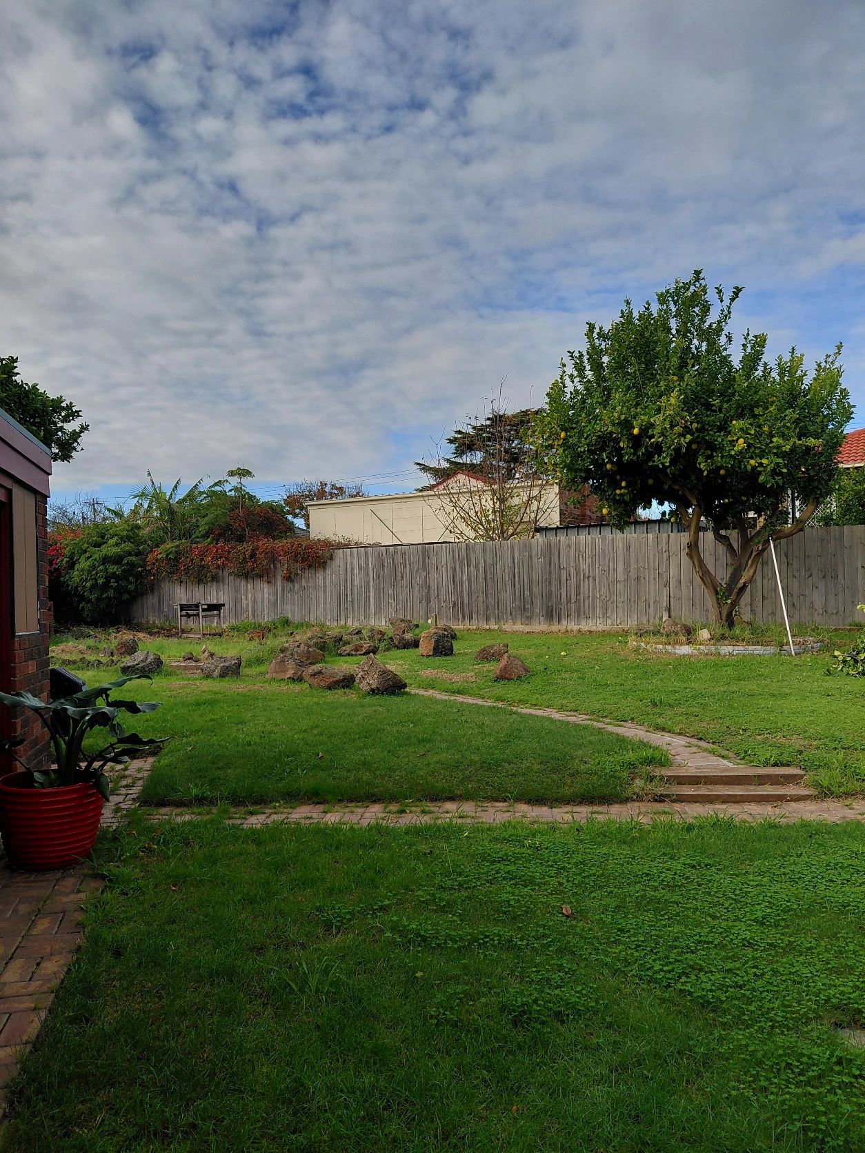 image-11