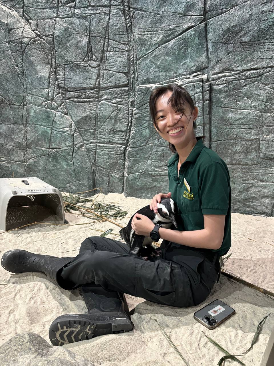 image-10