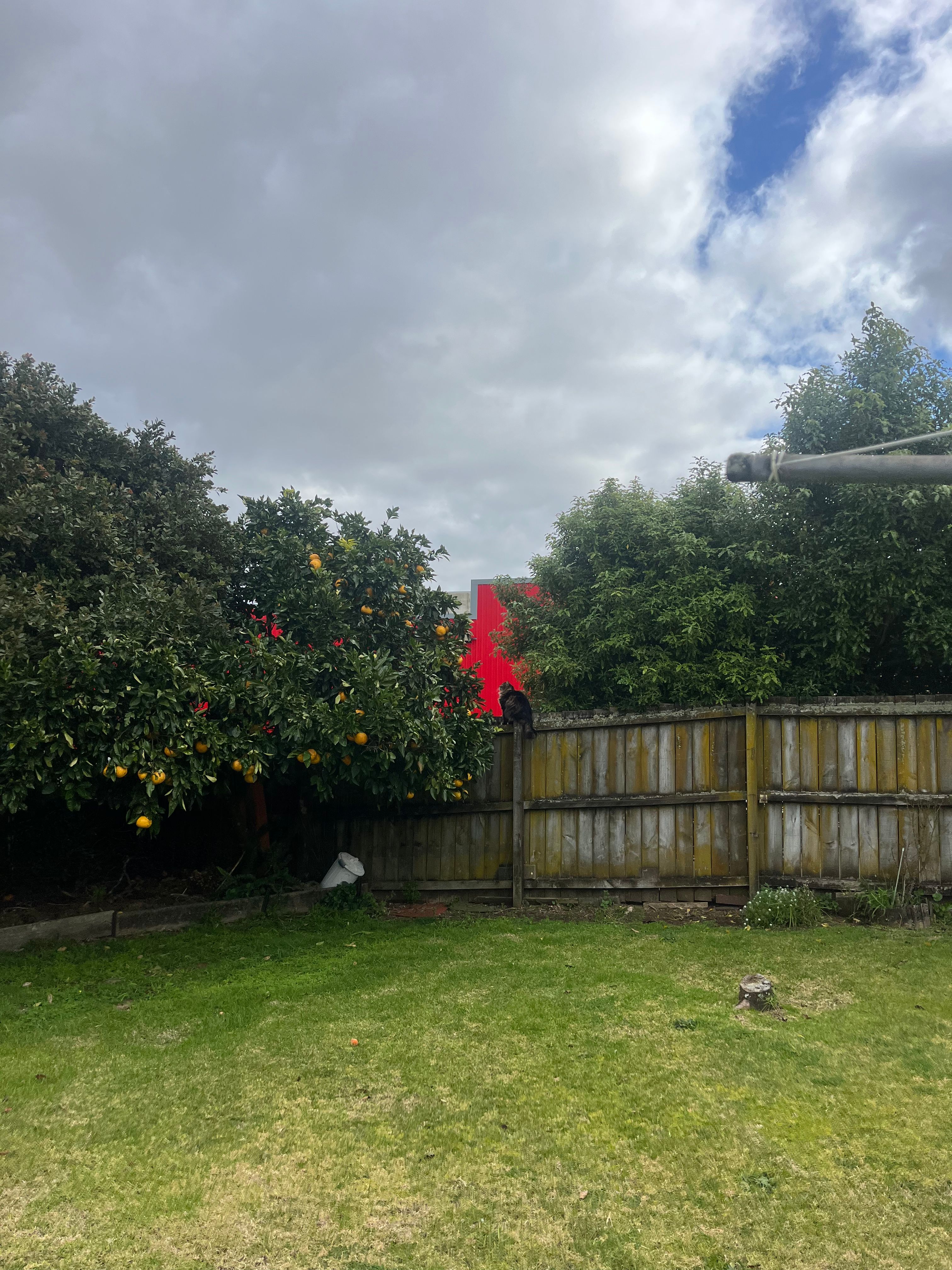 image-10