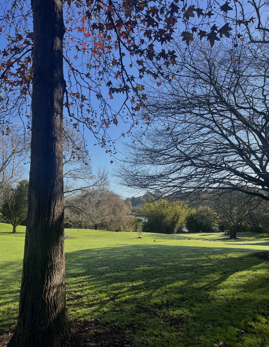 image-12
