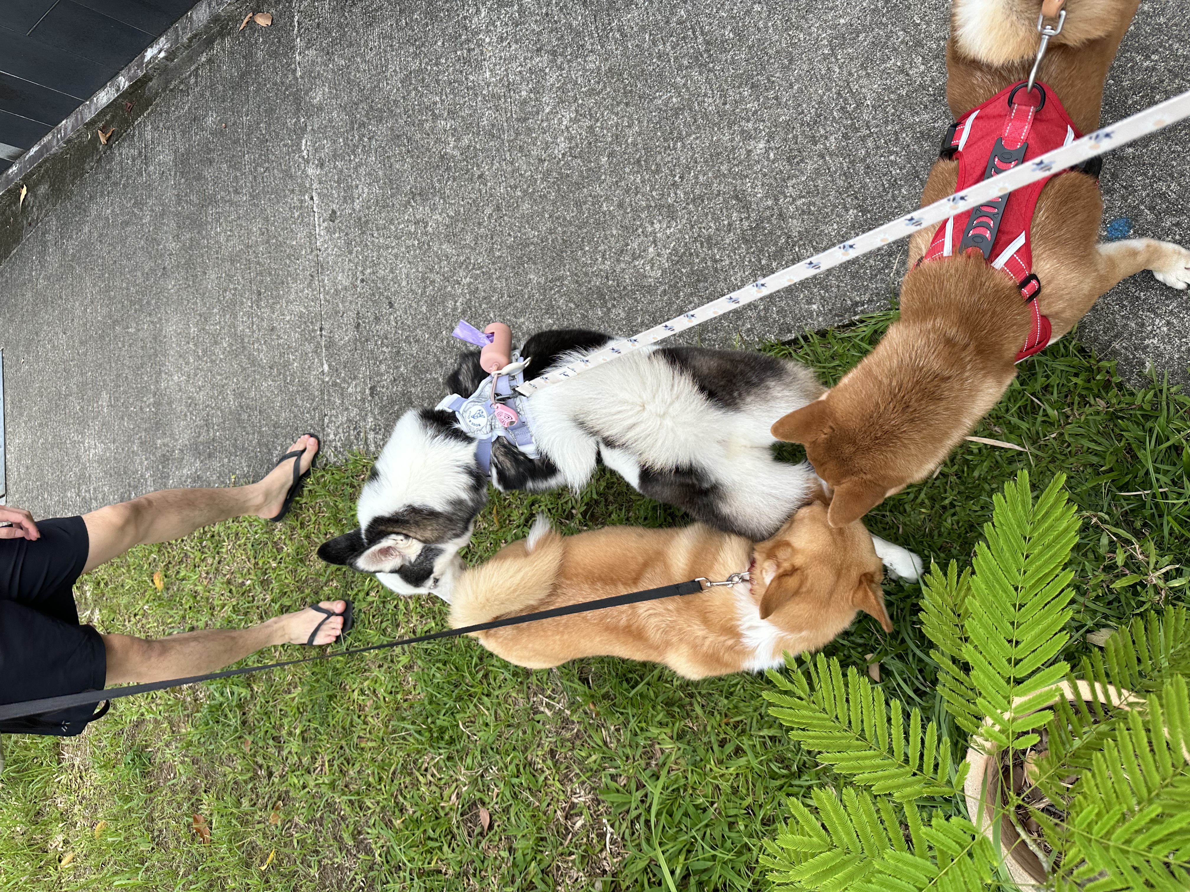 image-8