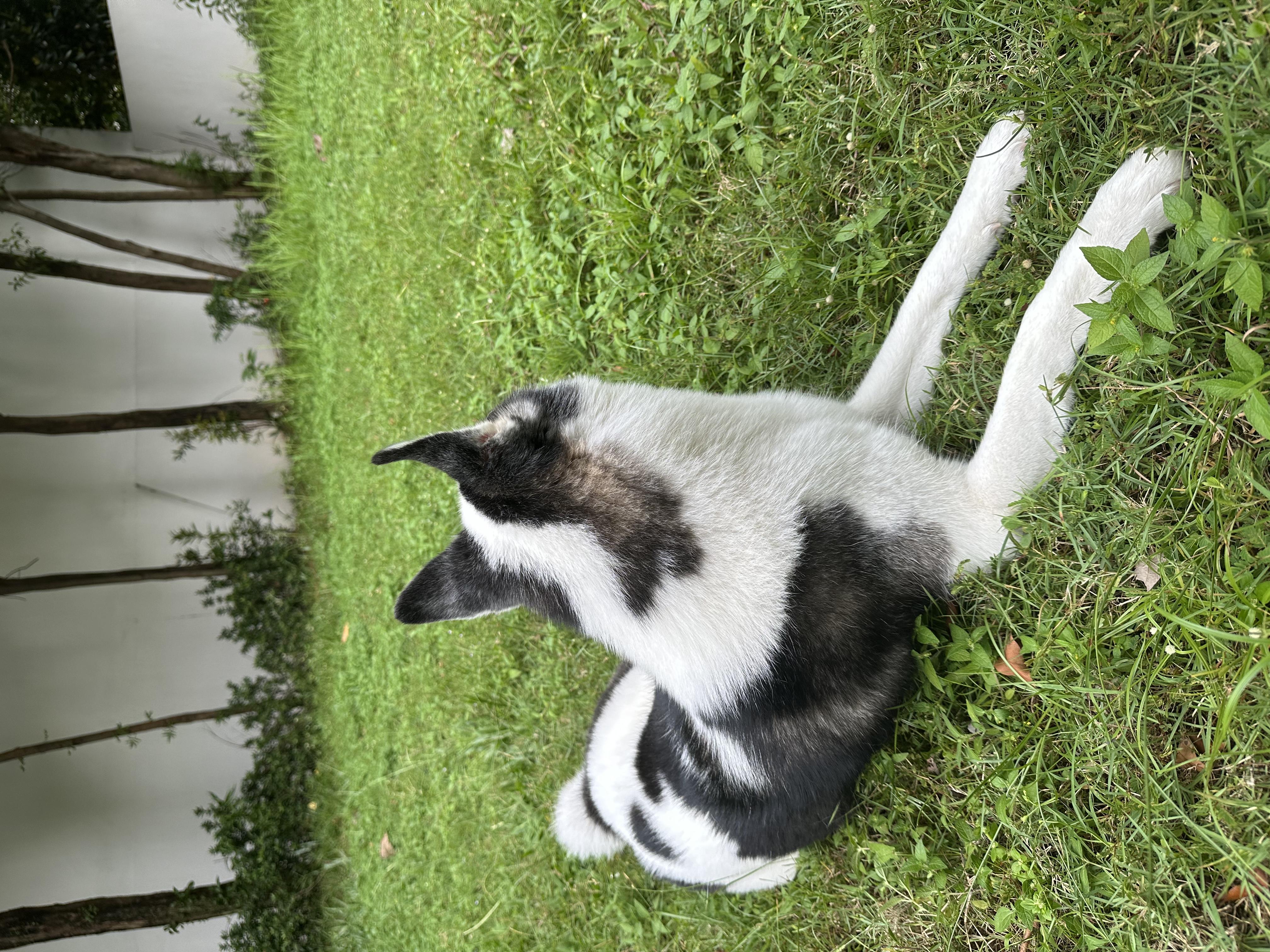 image-15