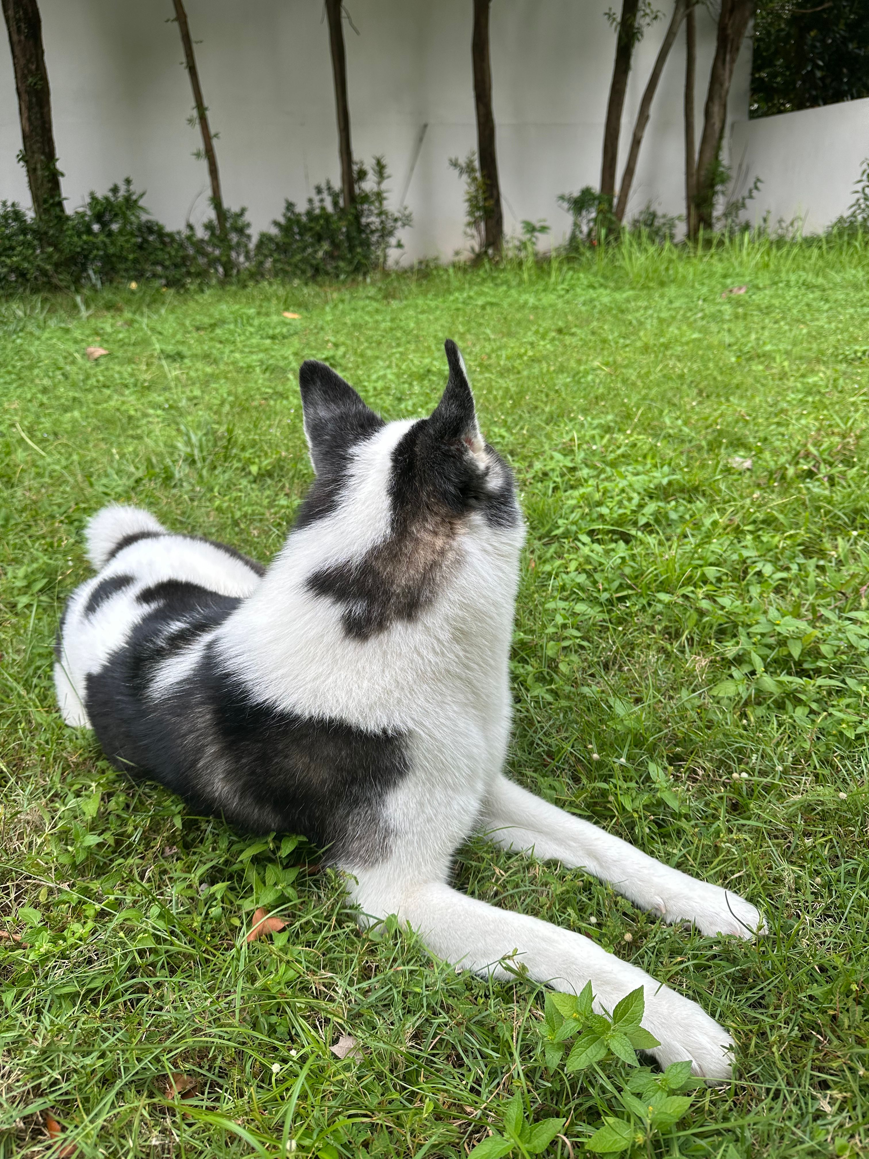 image-15