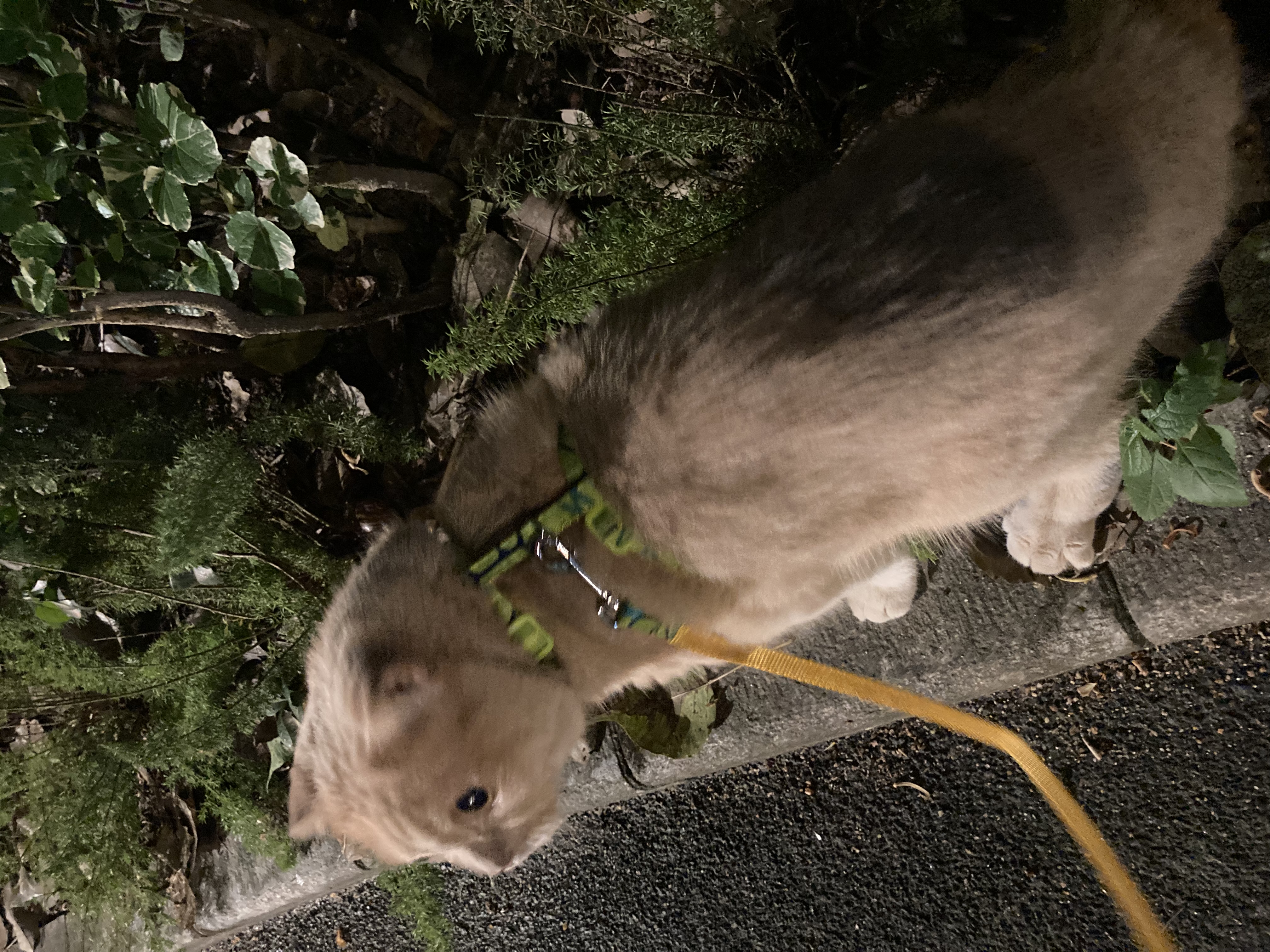 image-15