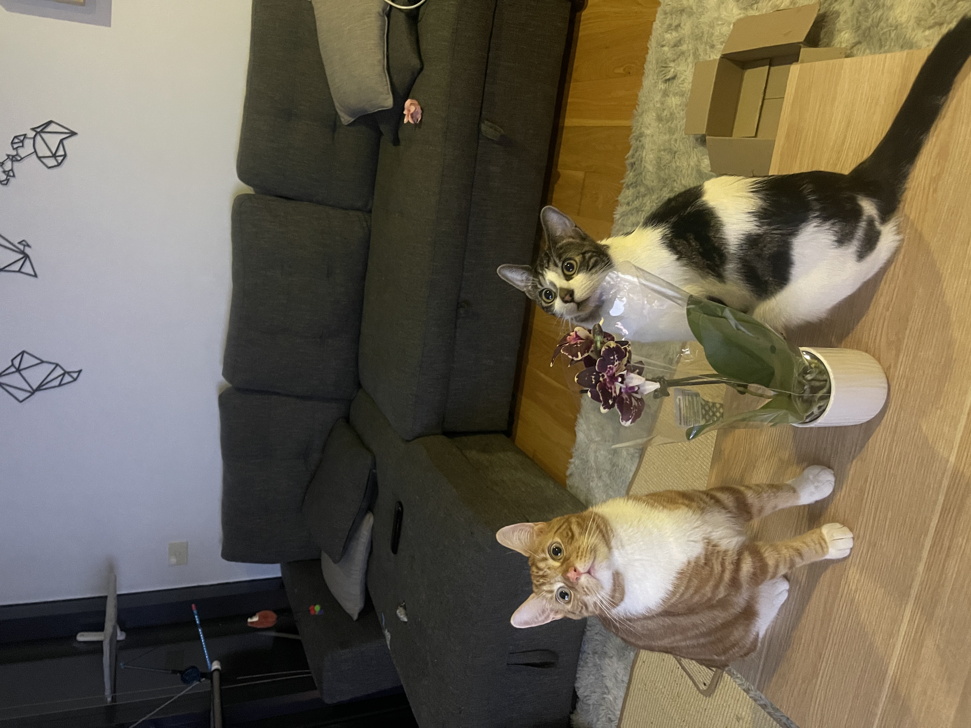 image-13