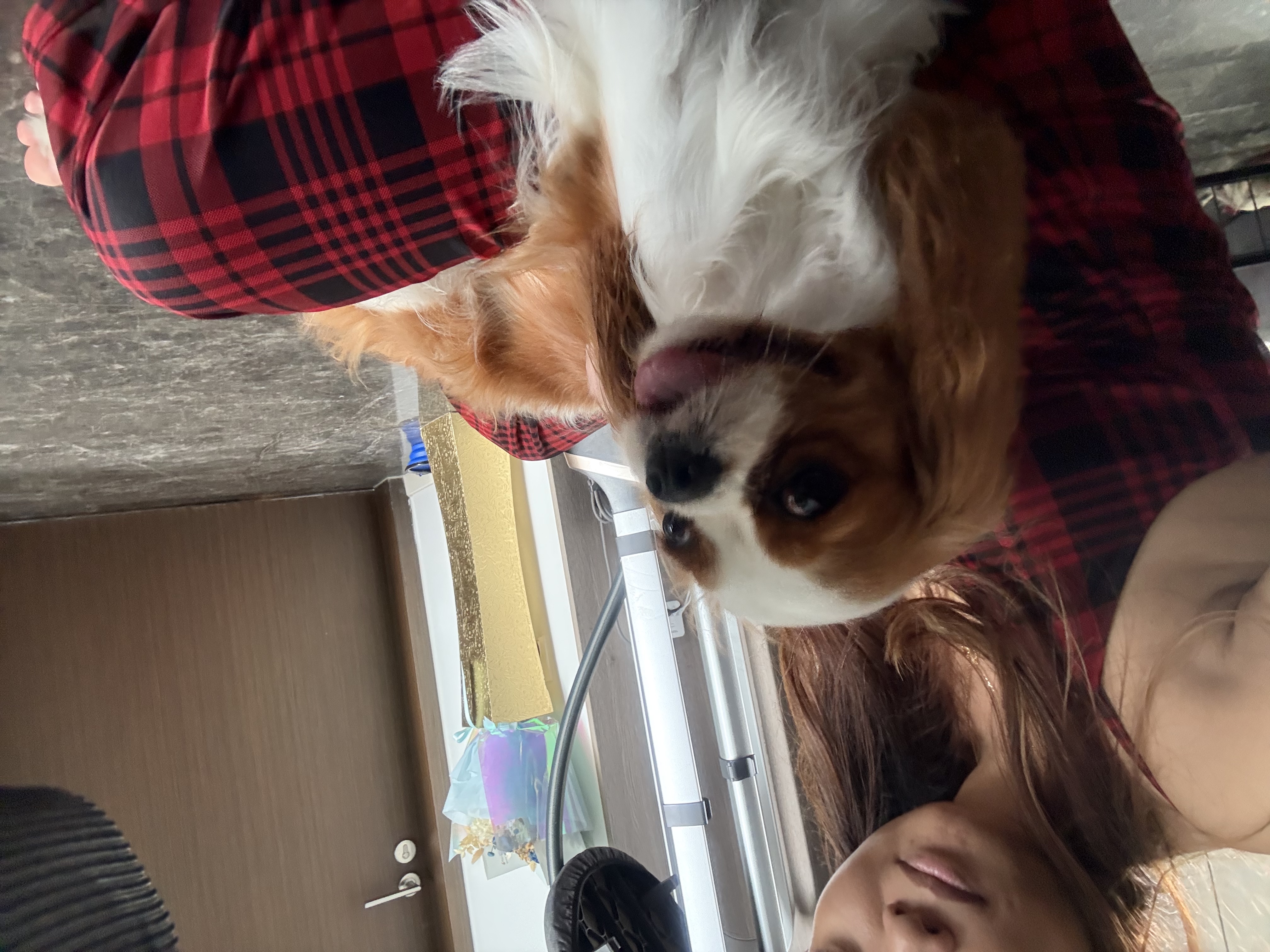 image-8