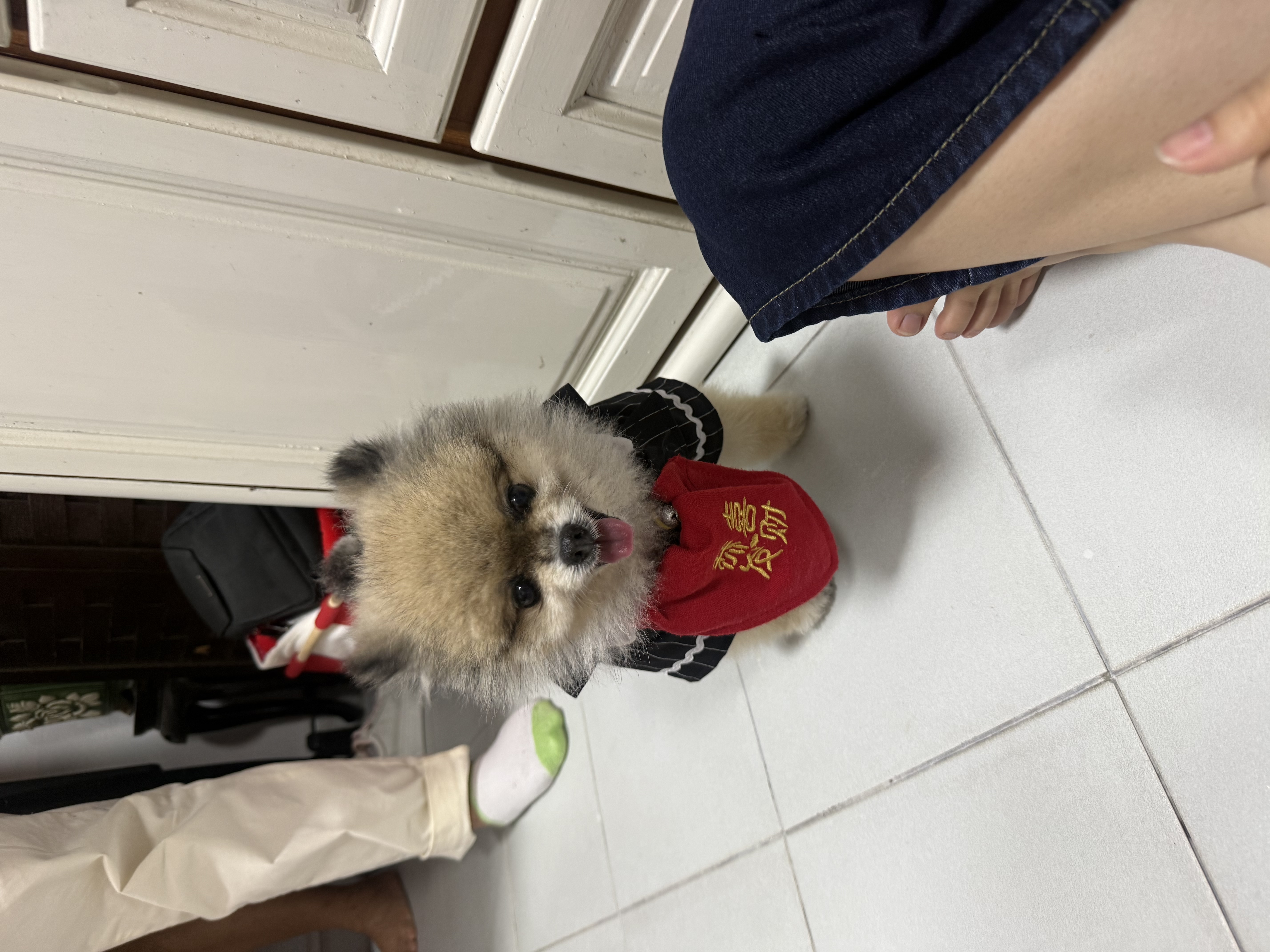 image-7