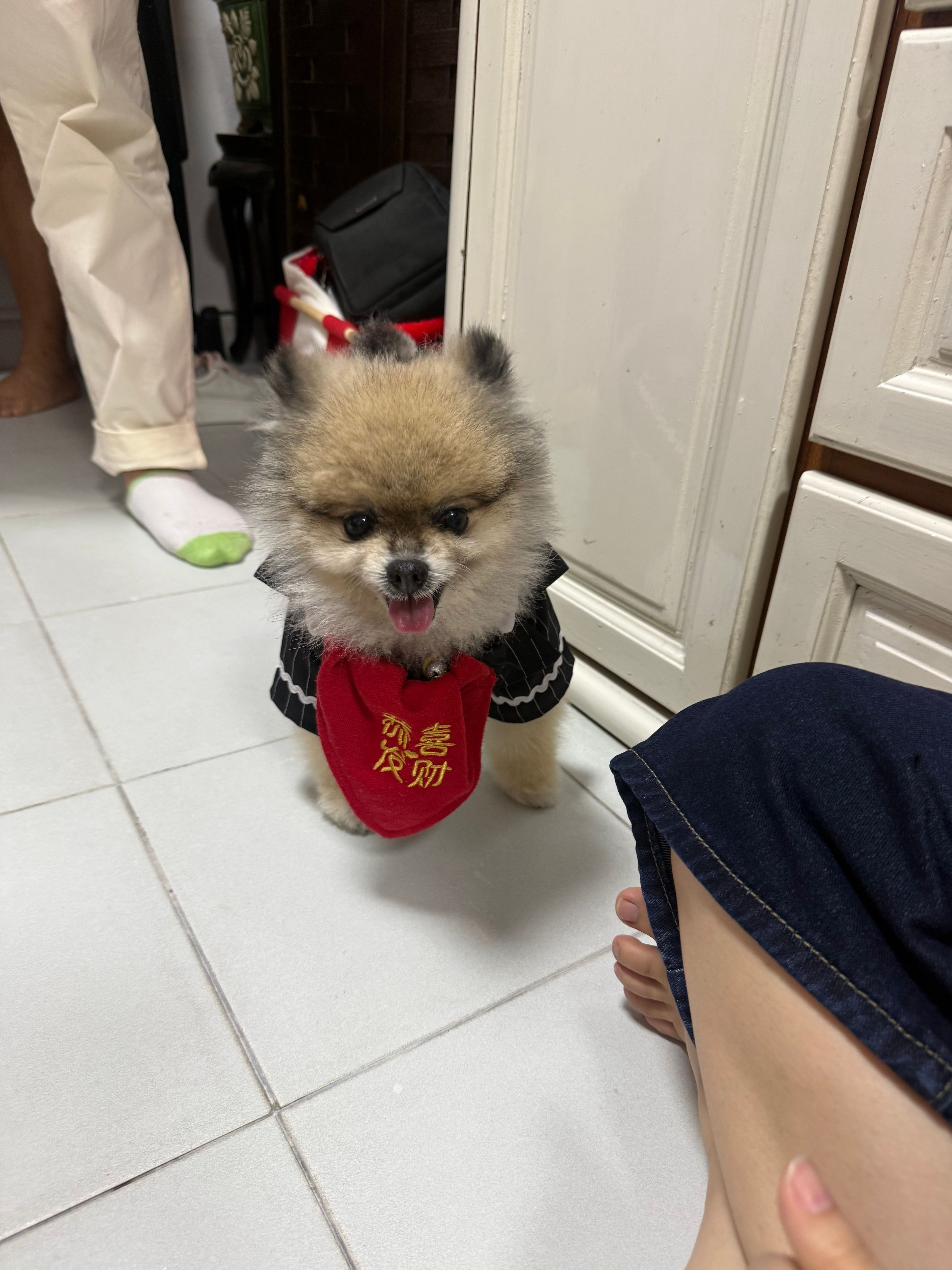 image-7