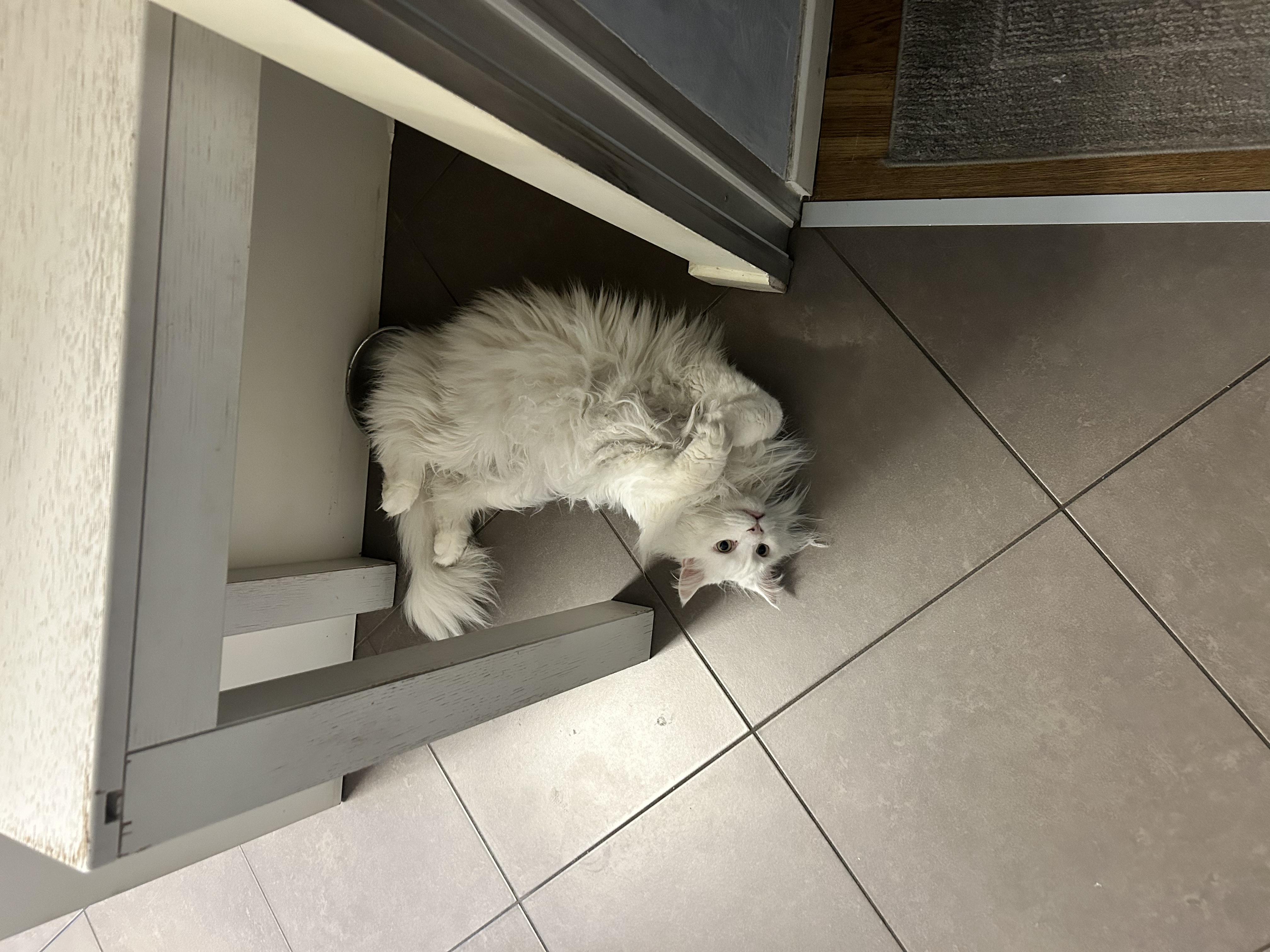 image-7