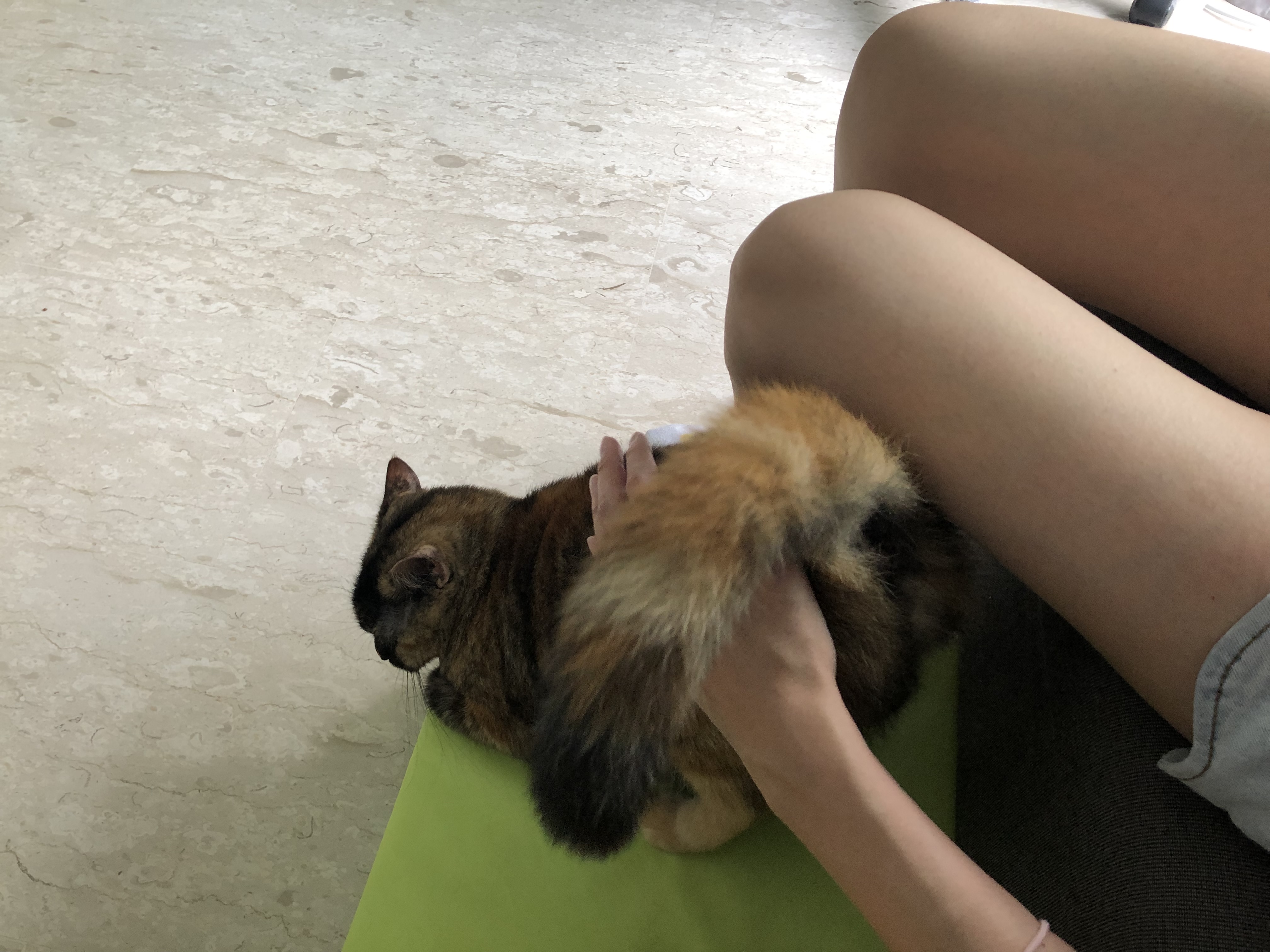 image-2