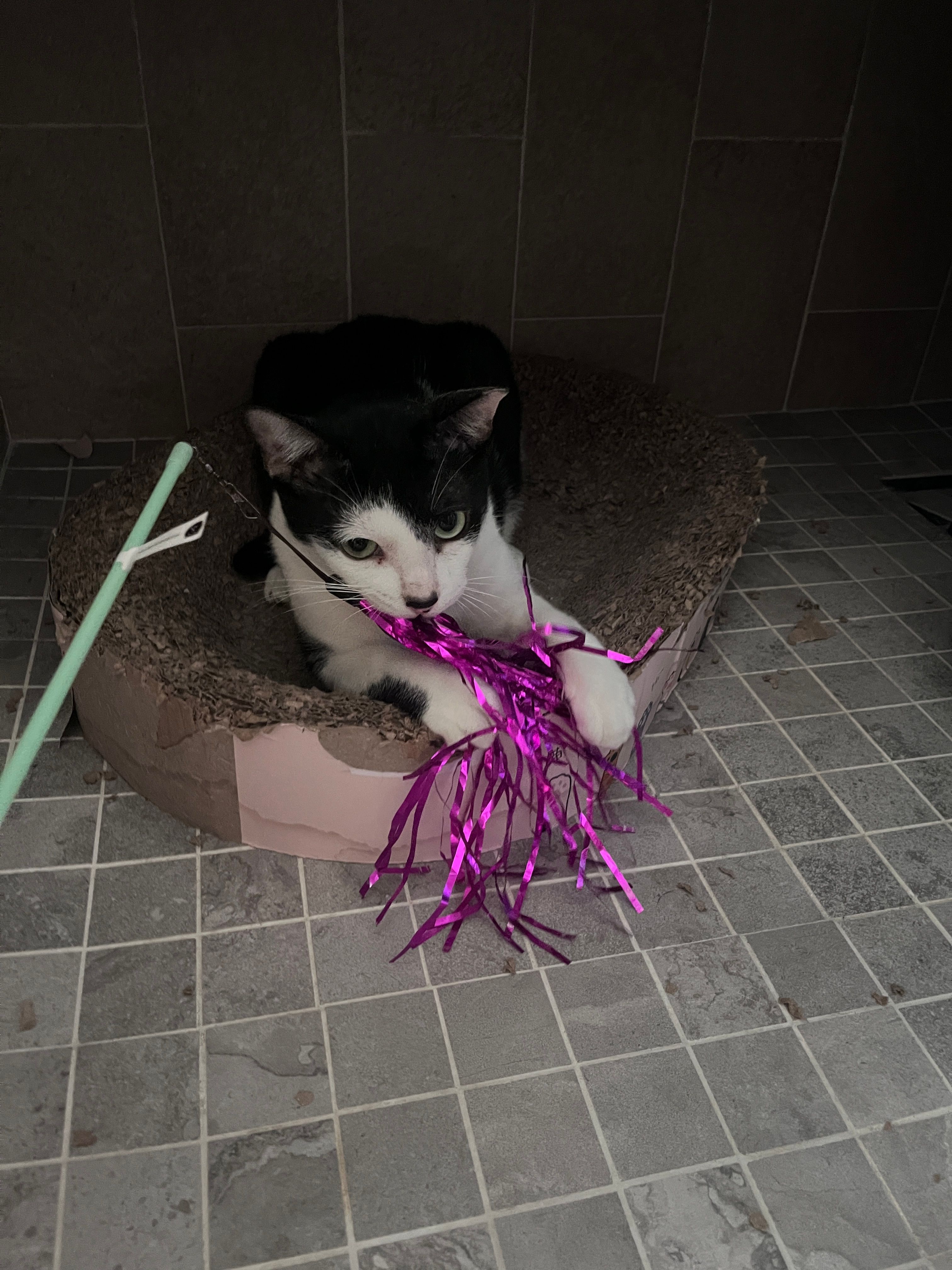 image-13