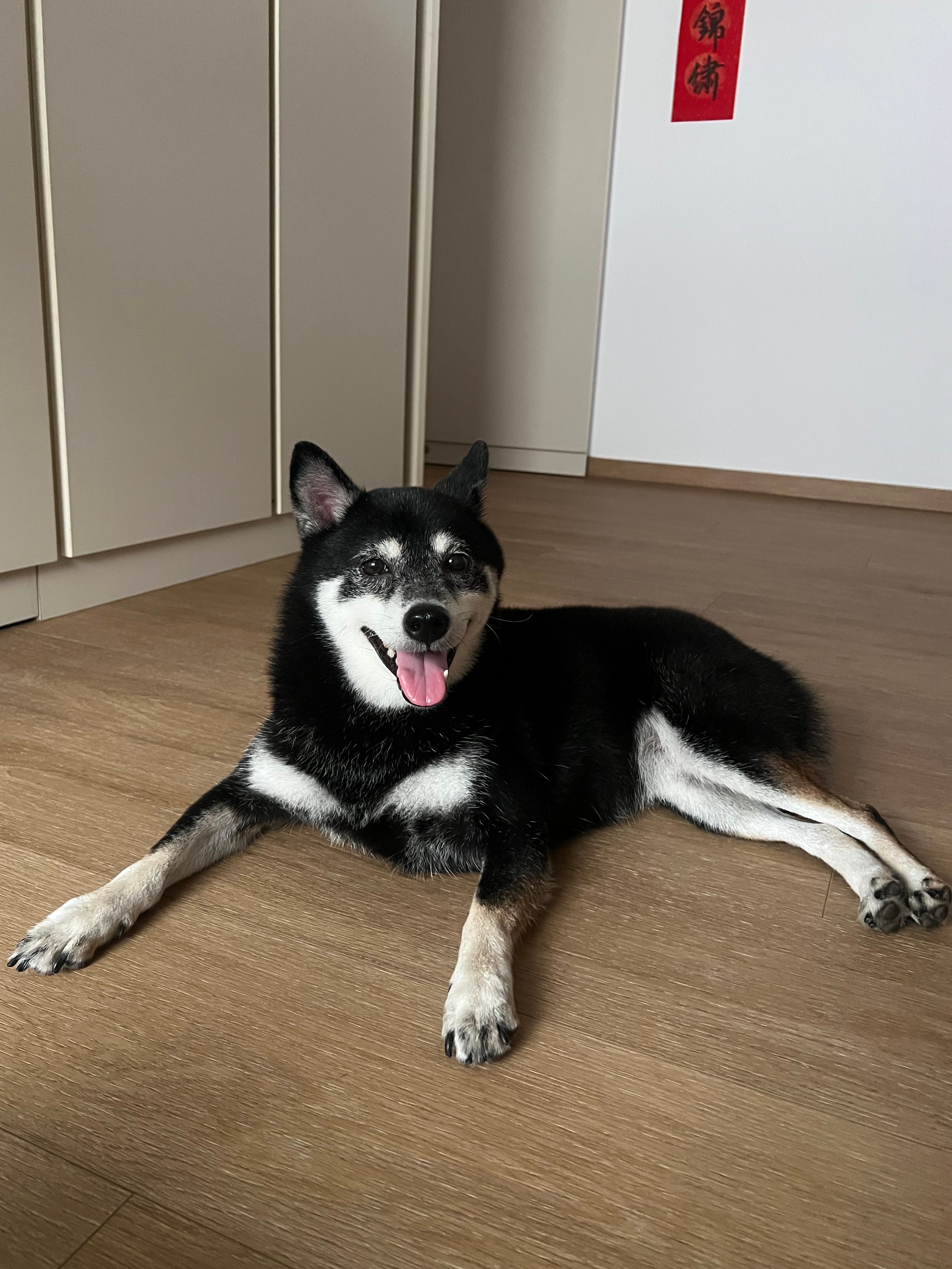 image-15