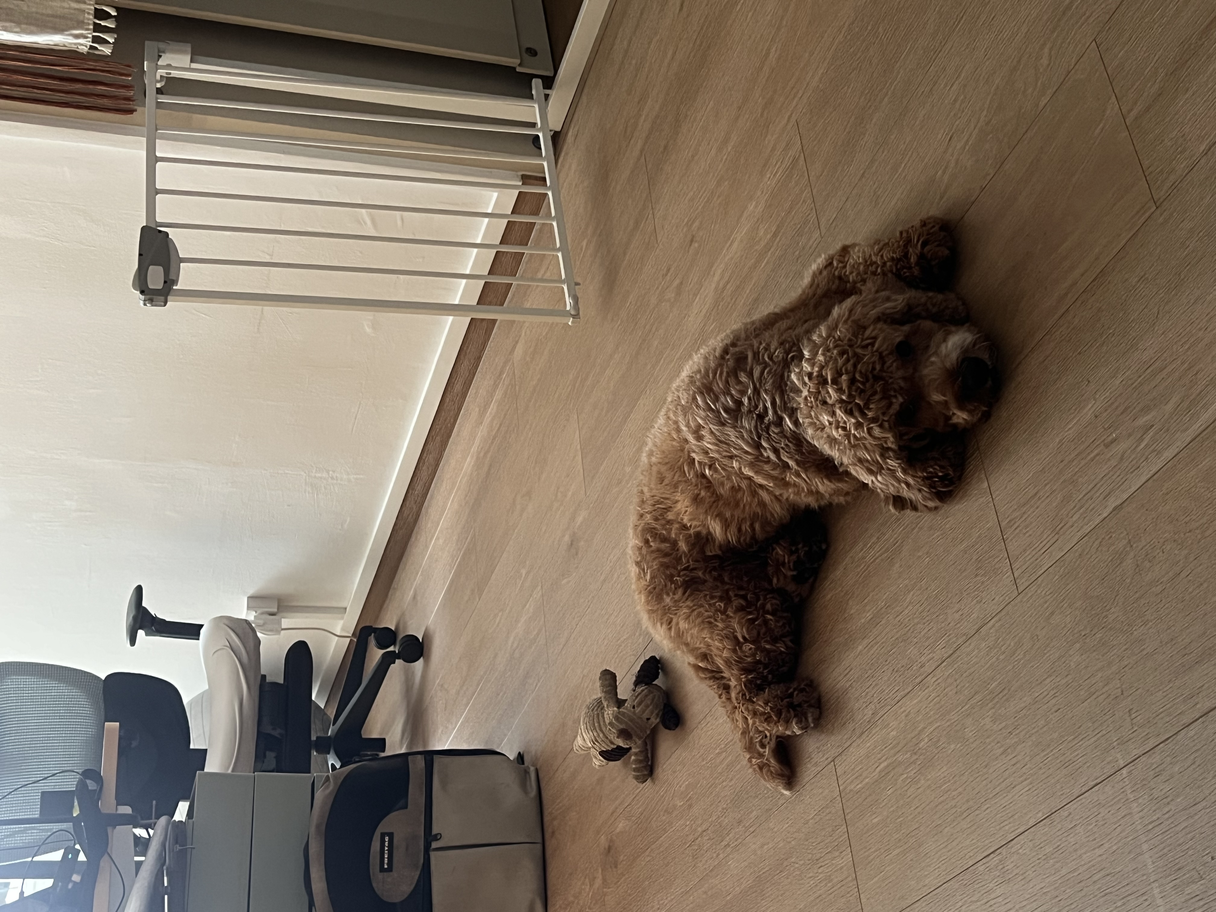 image-16