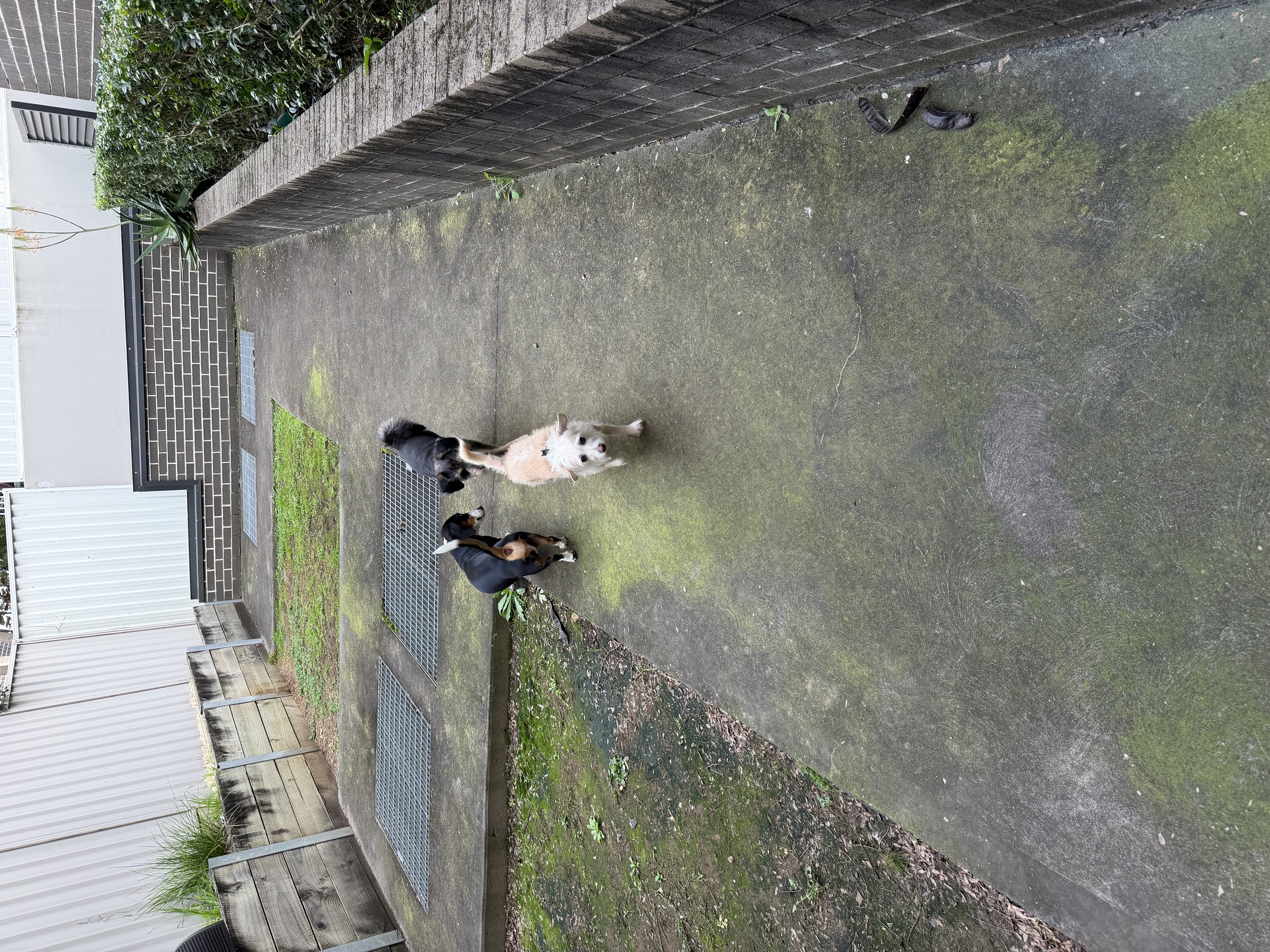 image-65