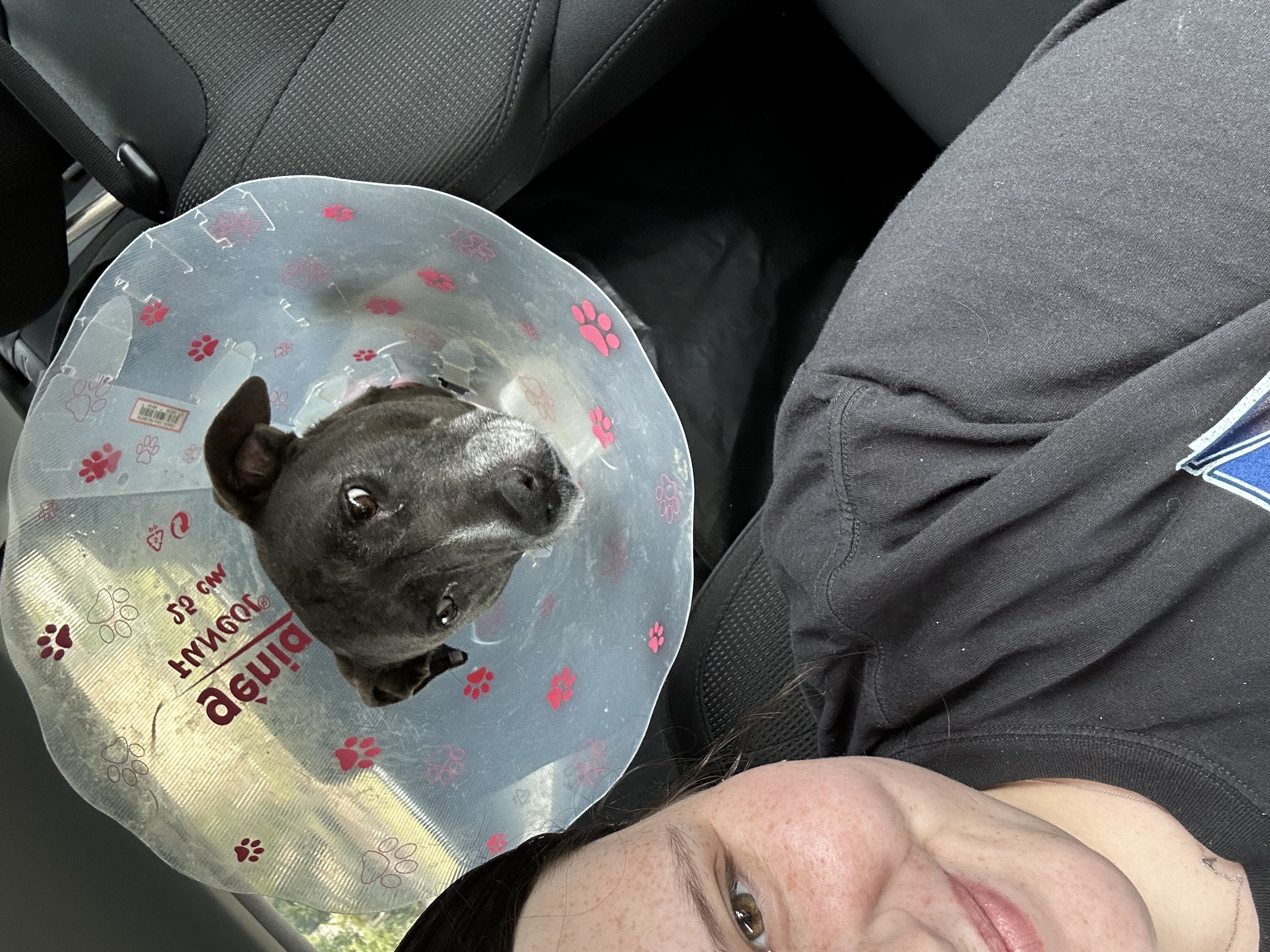 image-5