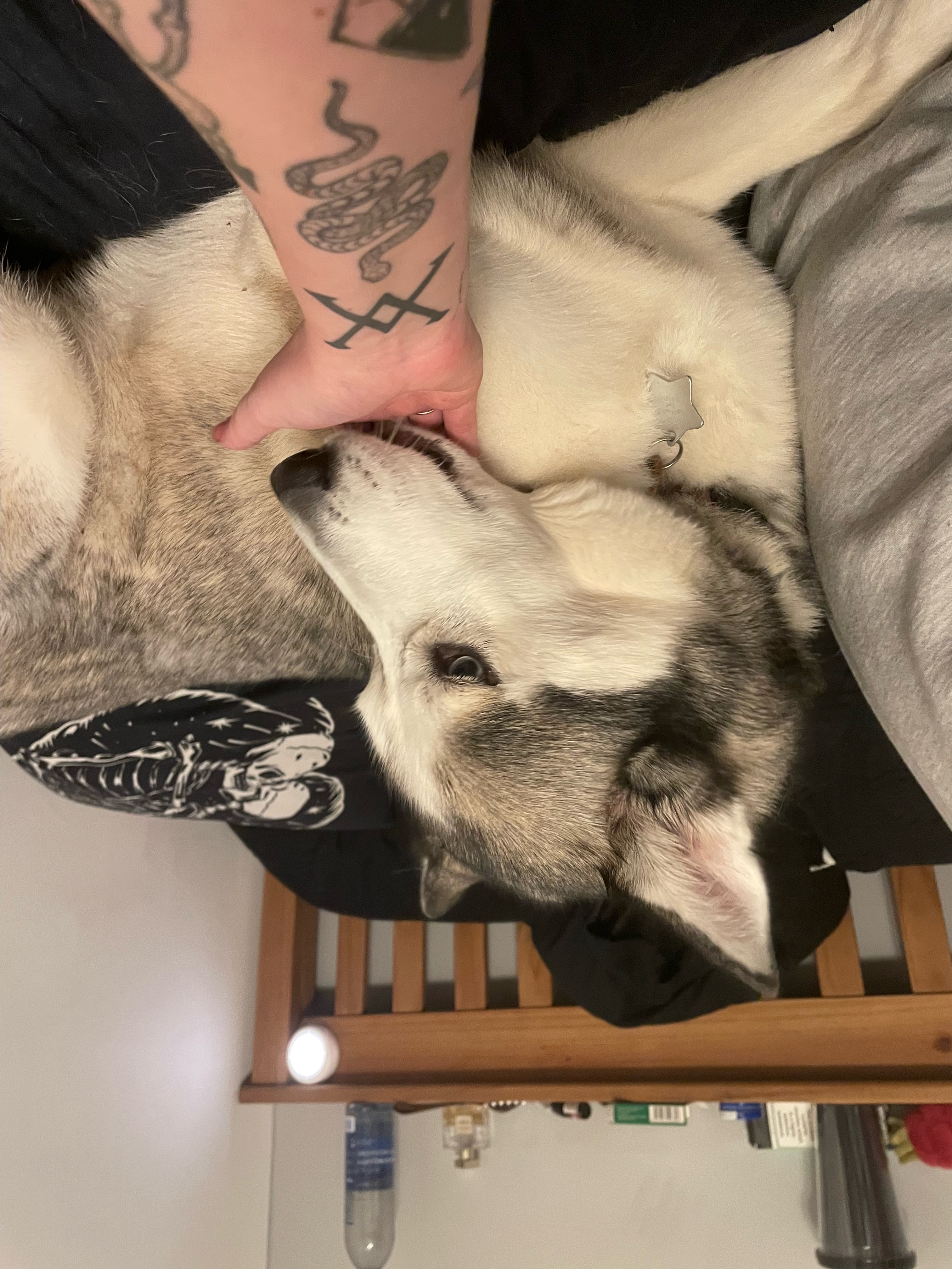 image-8