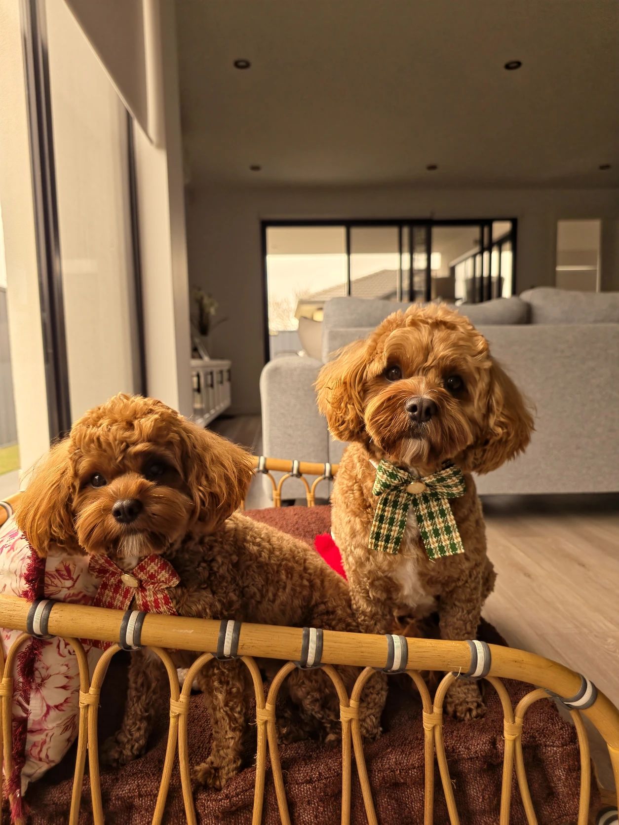 image-14