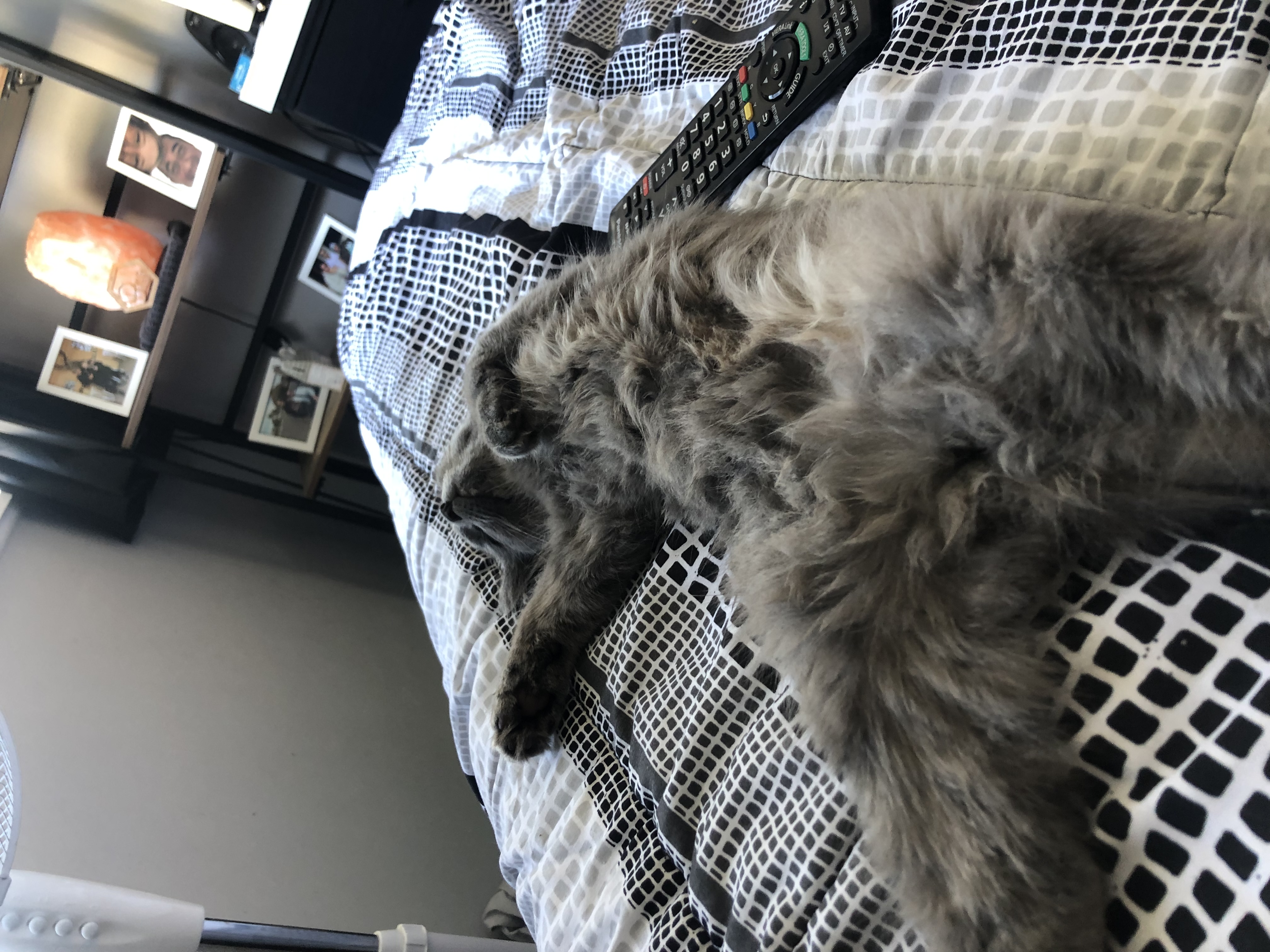 image-8