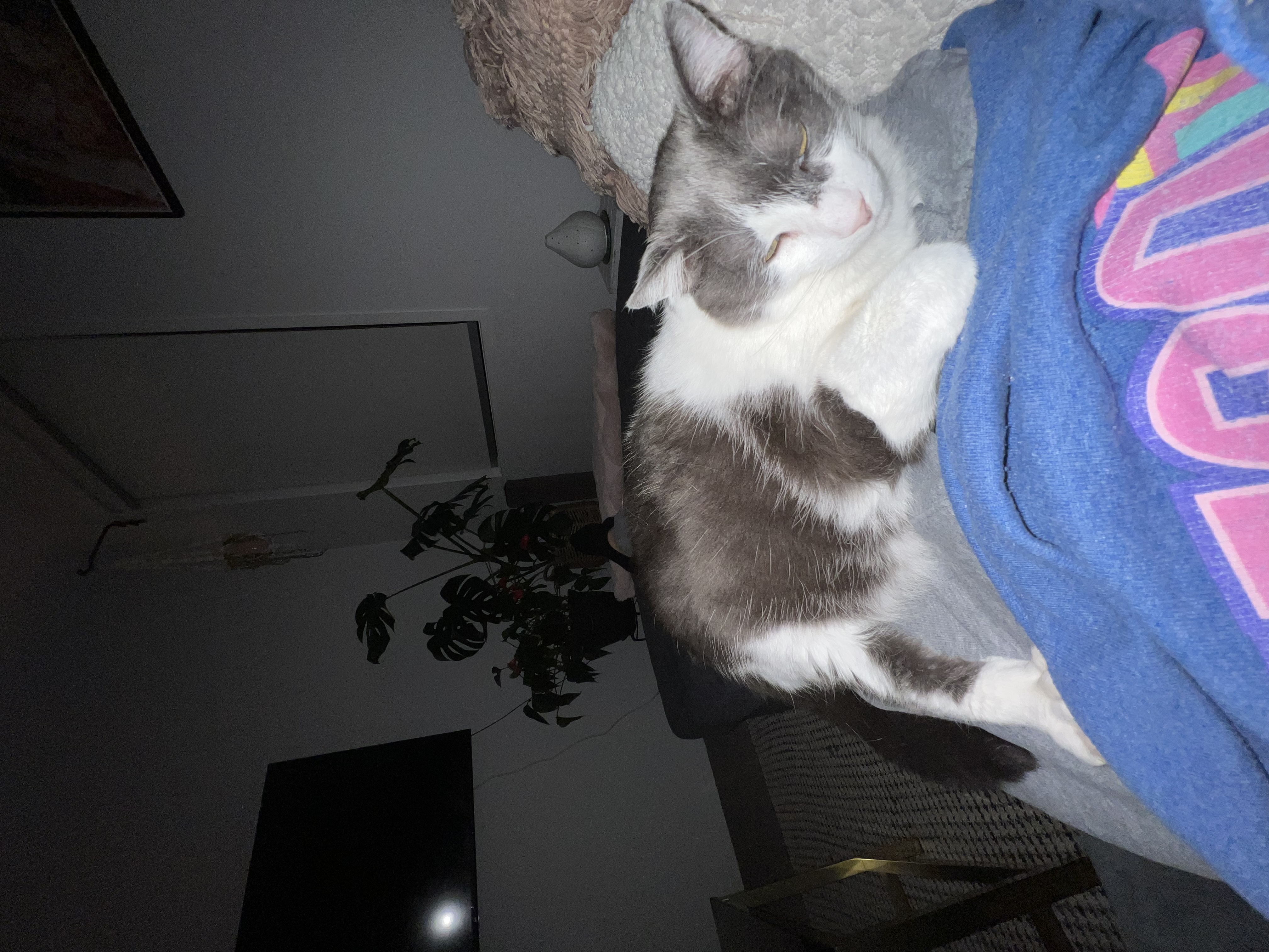 image-8