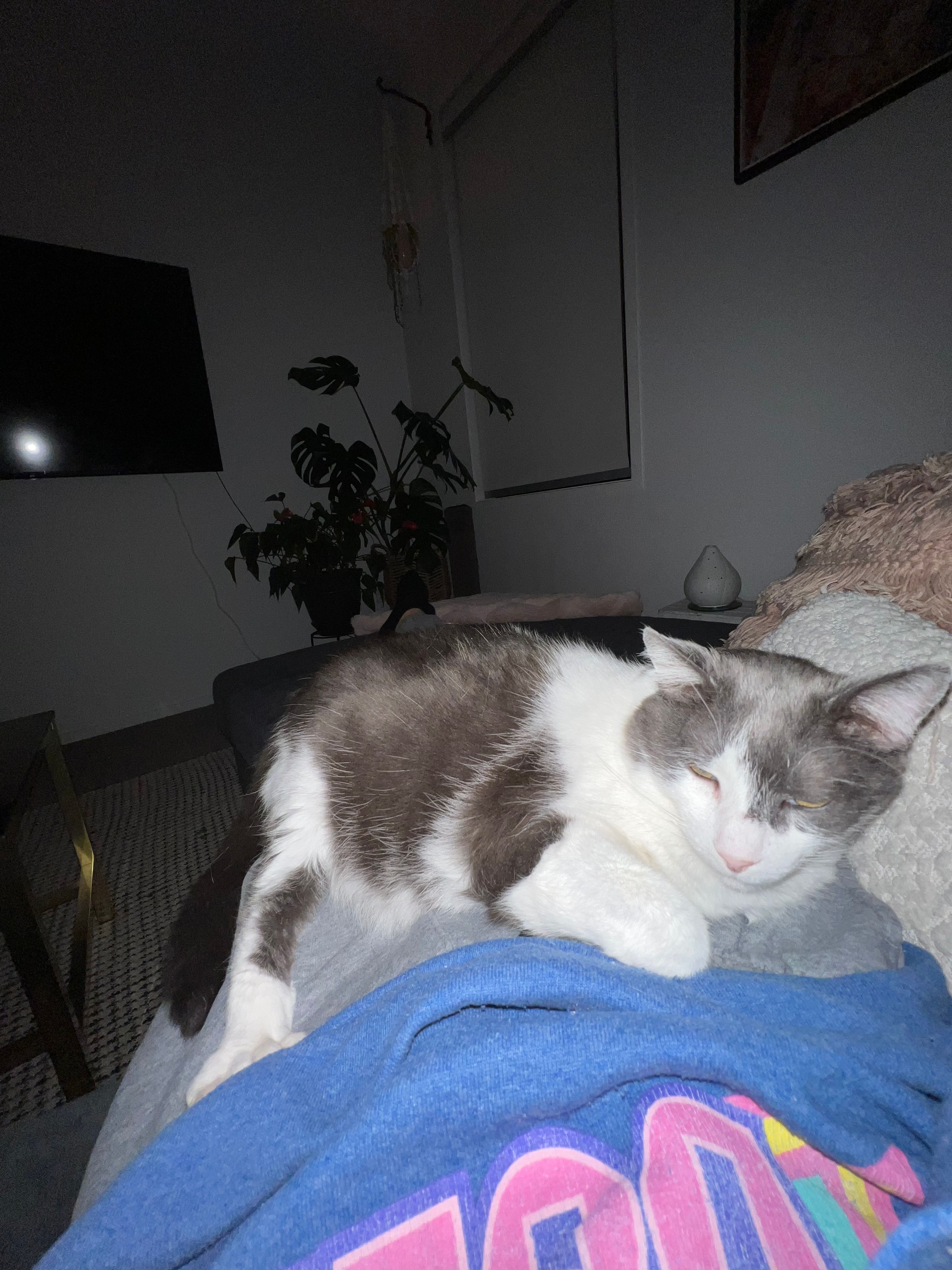 image-8