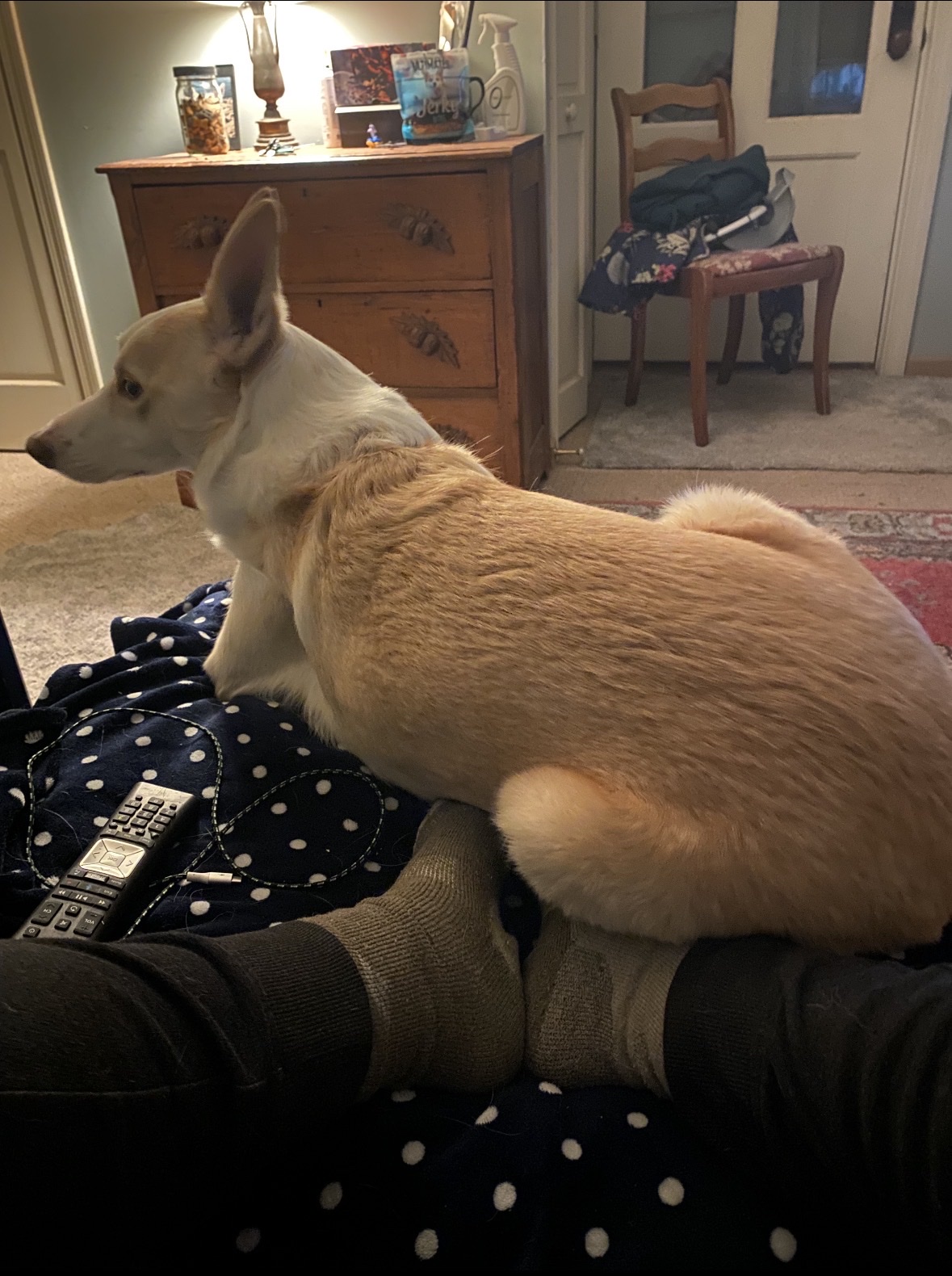 image-13