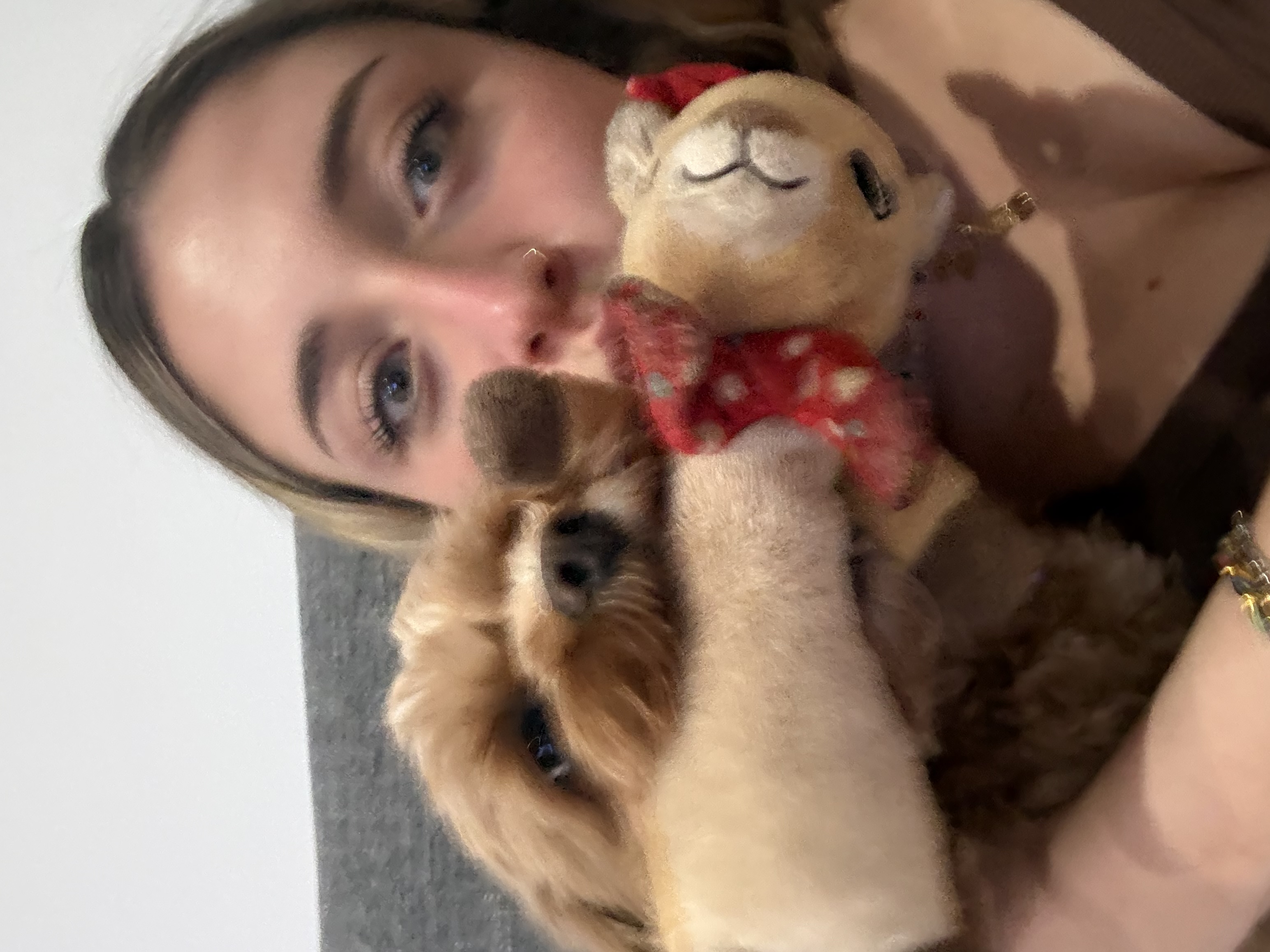image-6