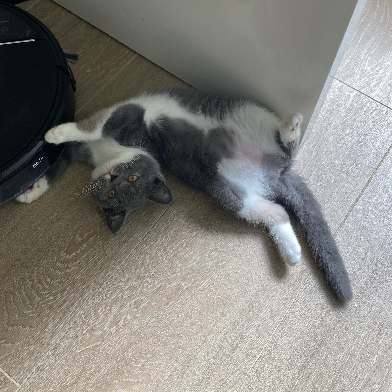 Luna