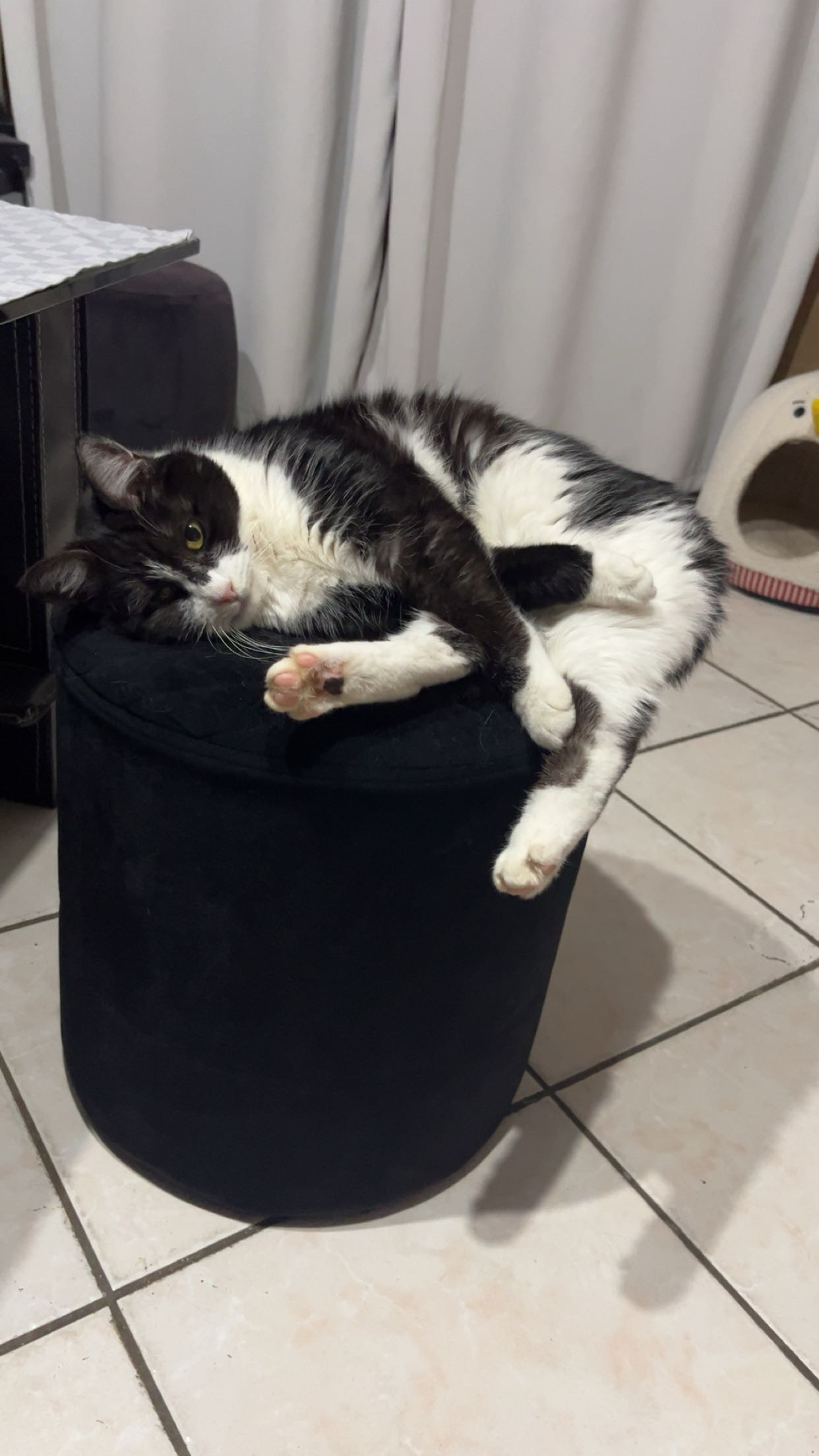 image-0