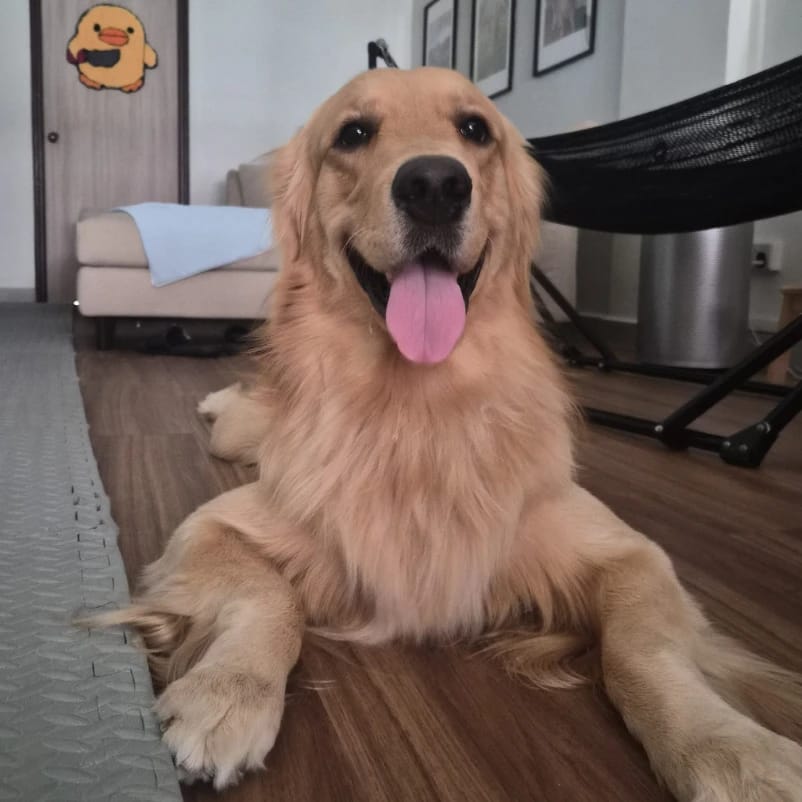 Bob
