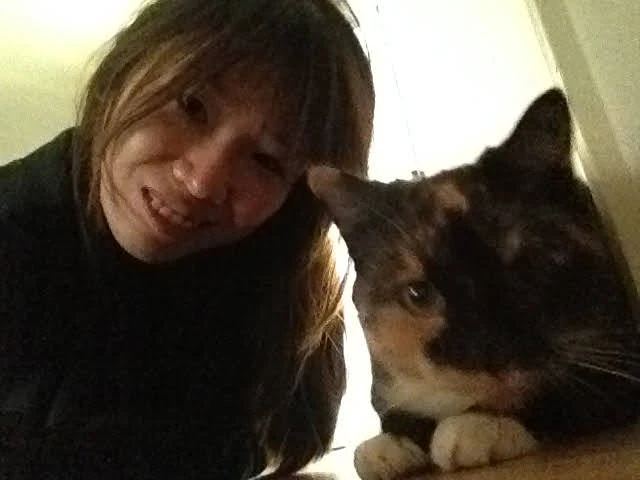 image-8