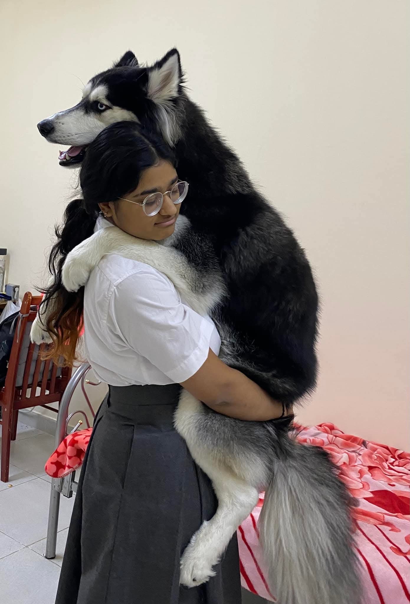 image-9
