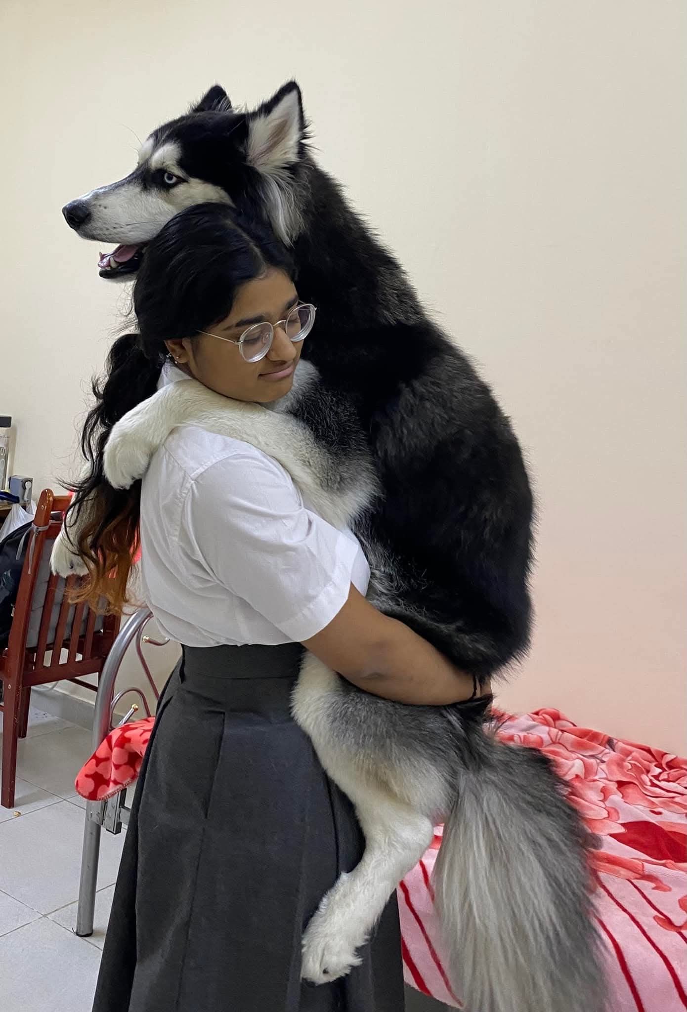 image-9