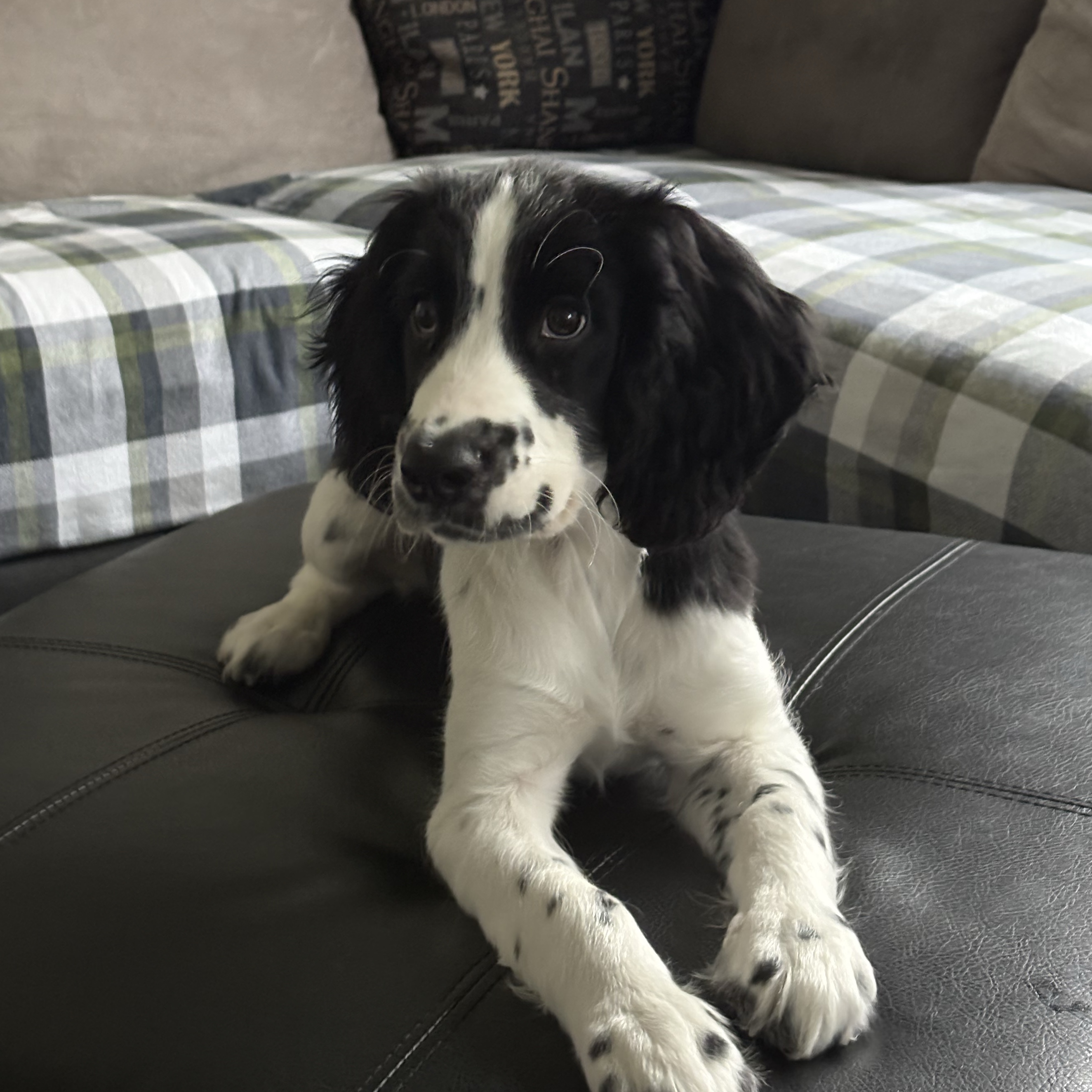 Murph