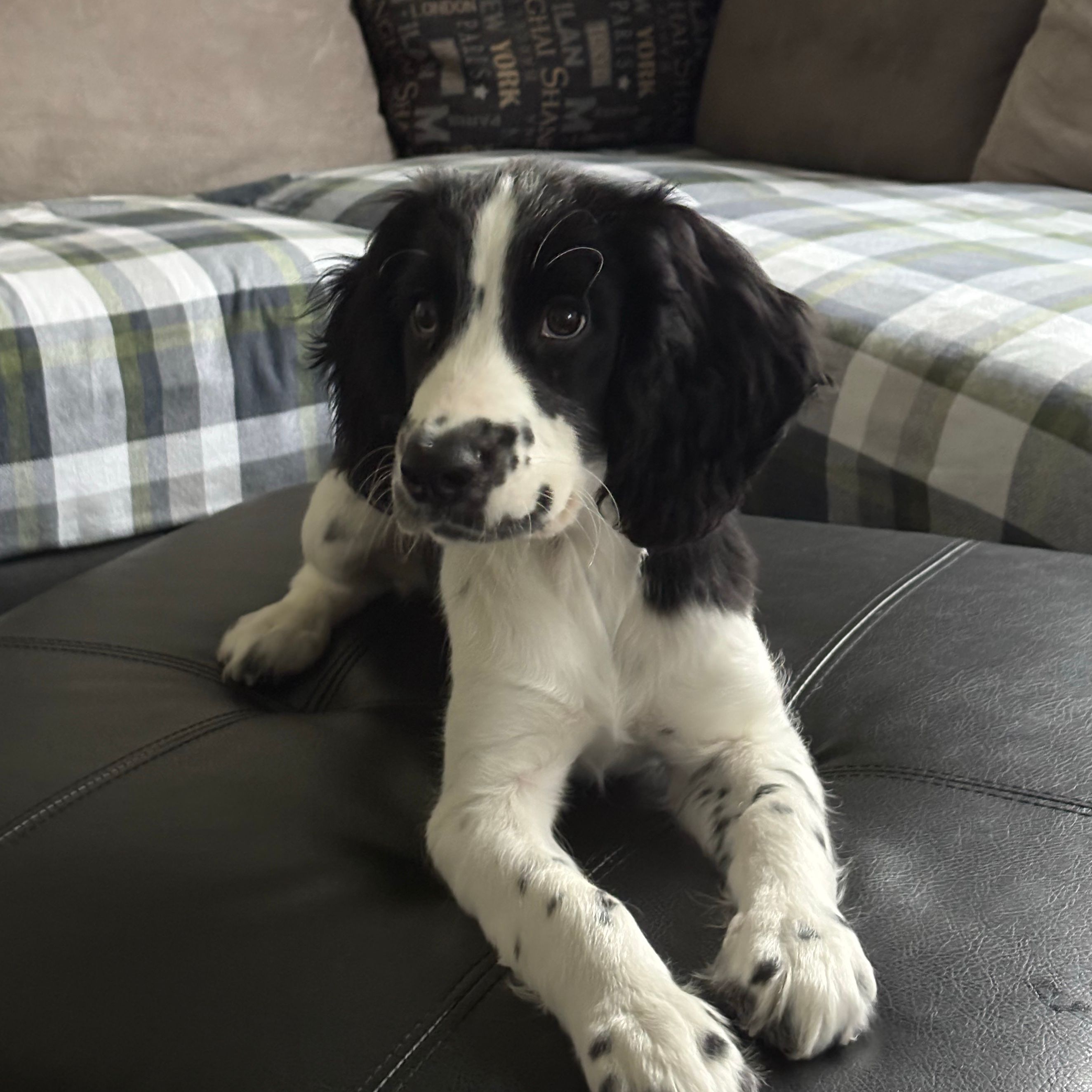 Murph