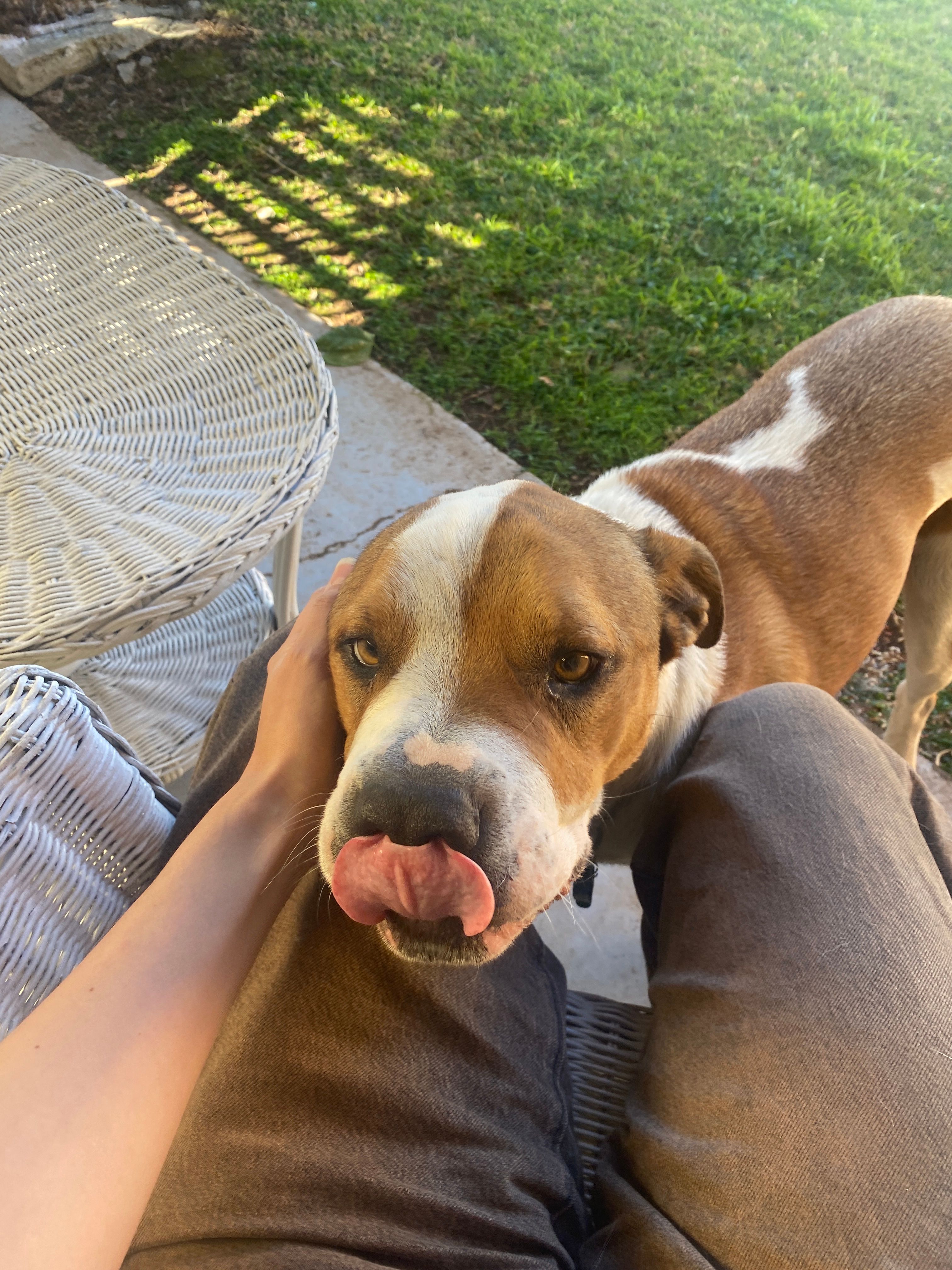 image-0