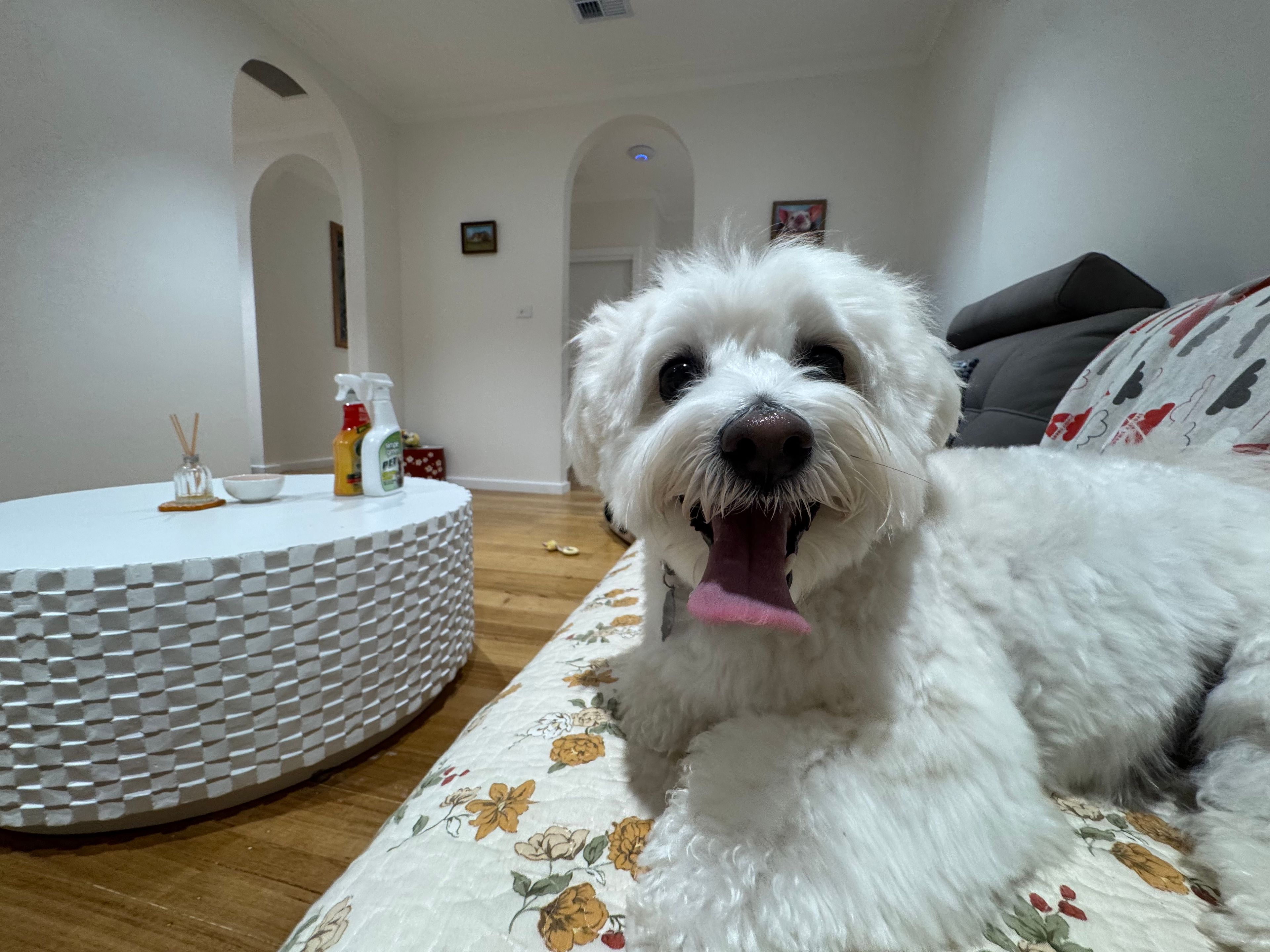 image-38