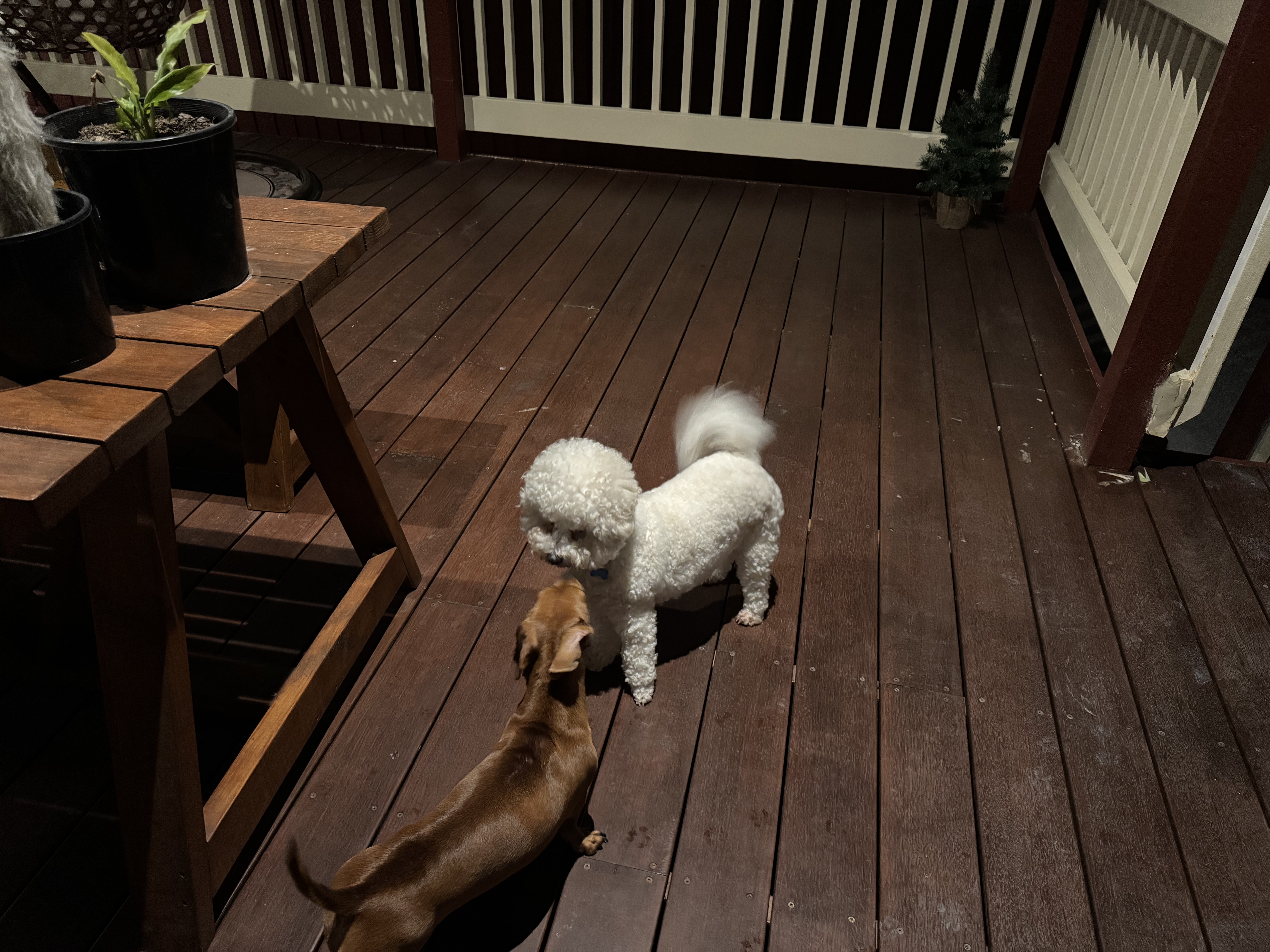 image-35