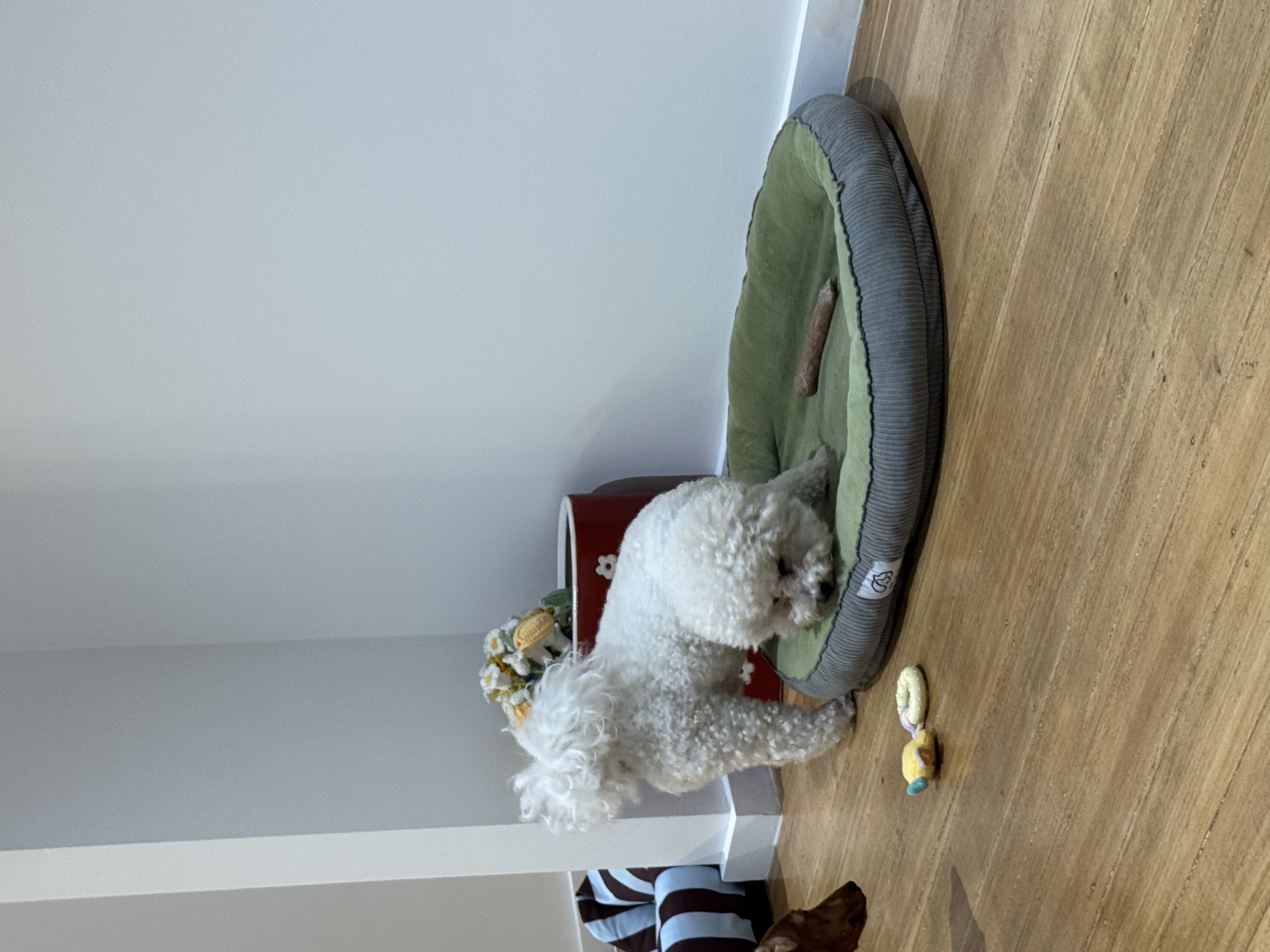image-38