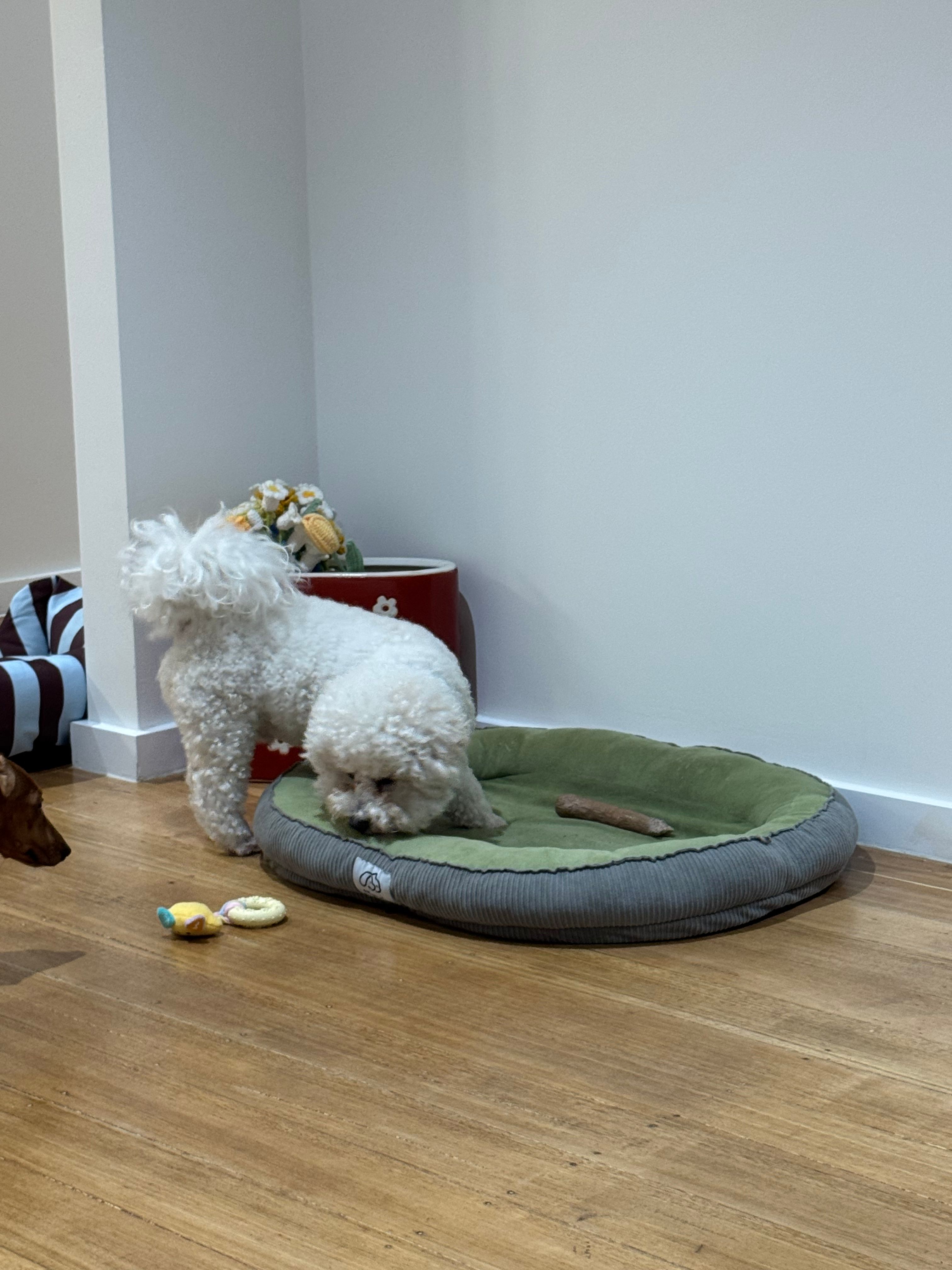 image-38